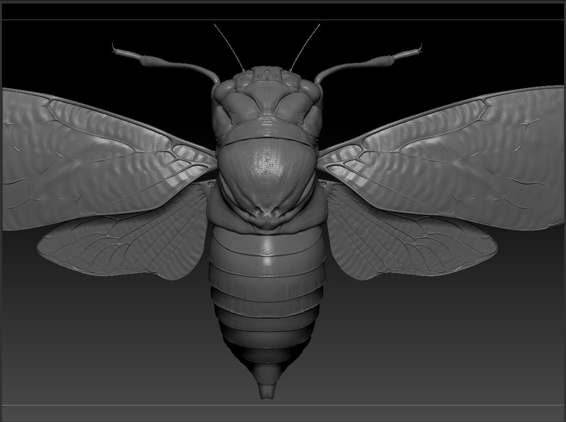 eric-keller-cicdada-adult-zbrush-05