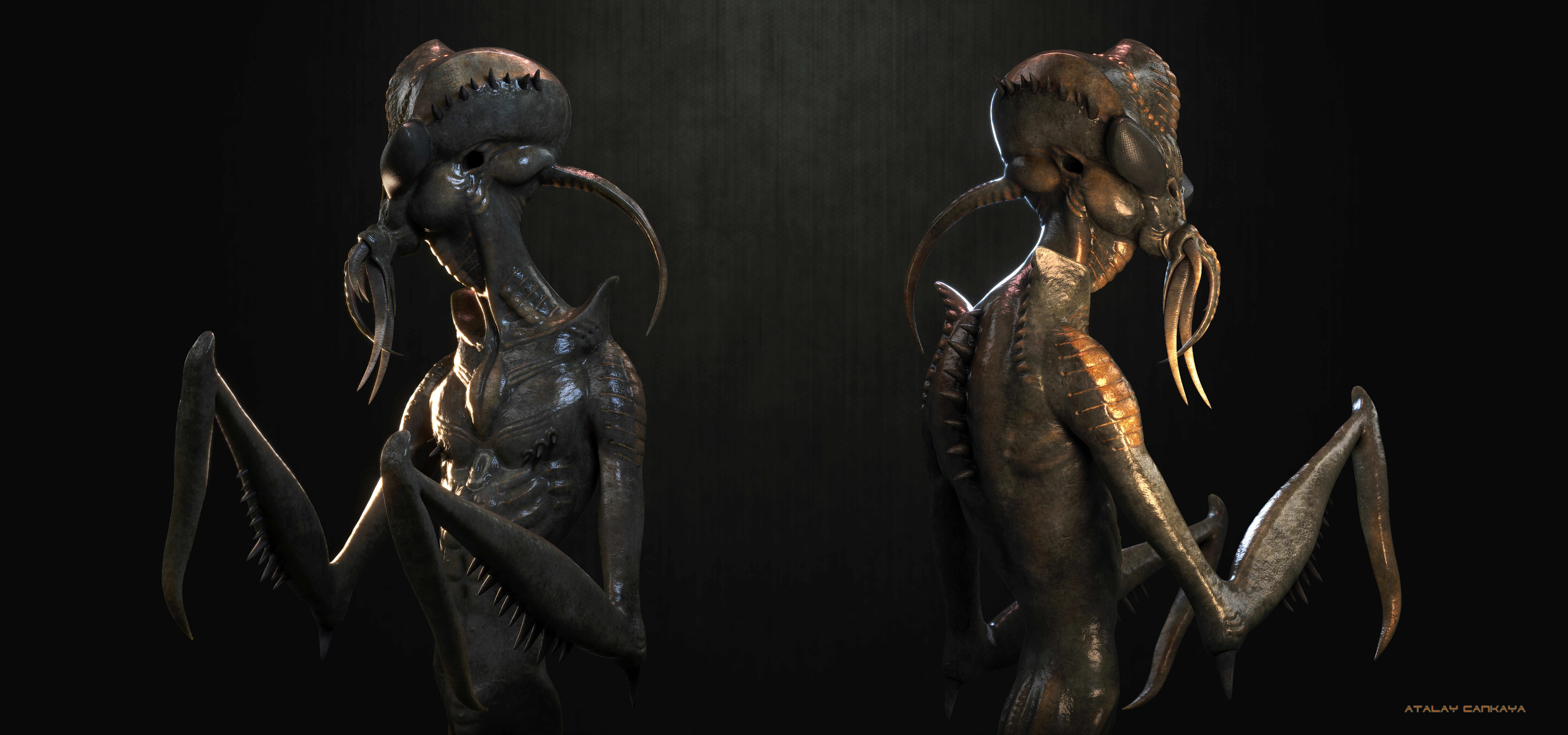 Hunter Insect All - 3