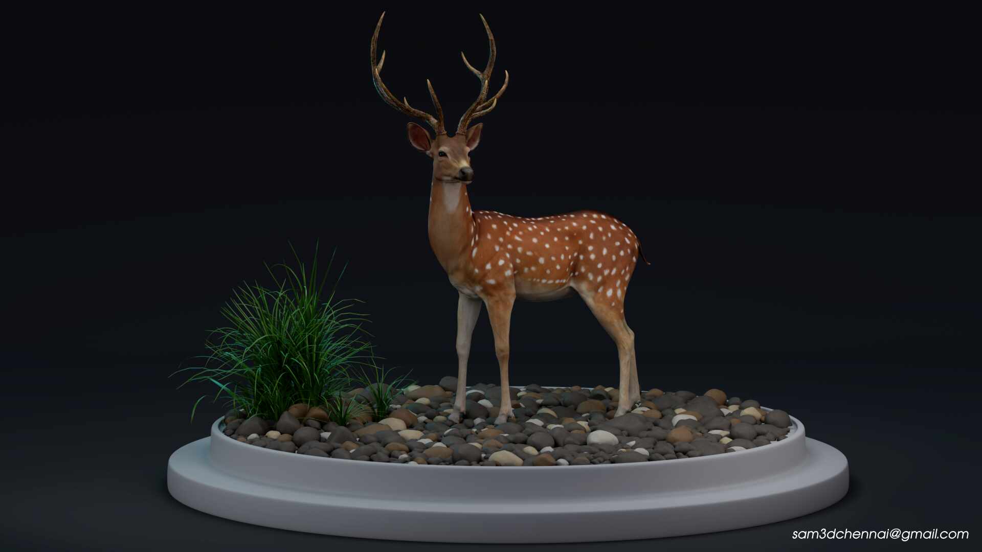 Deer_02