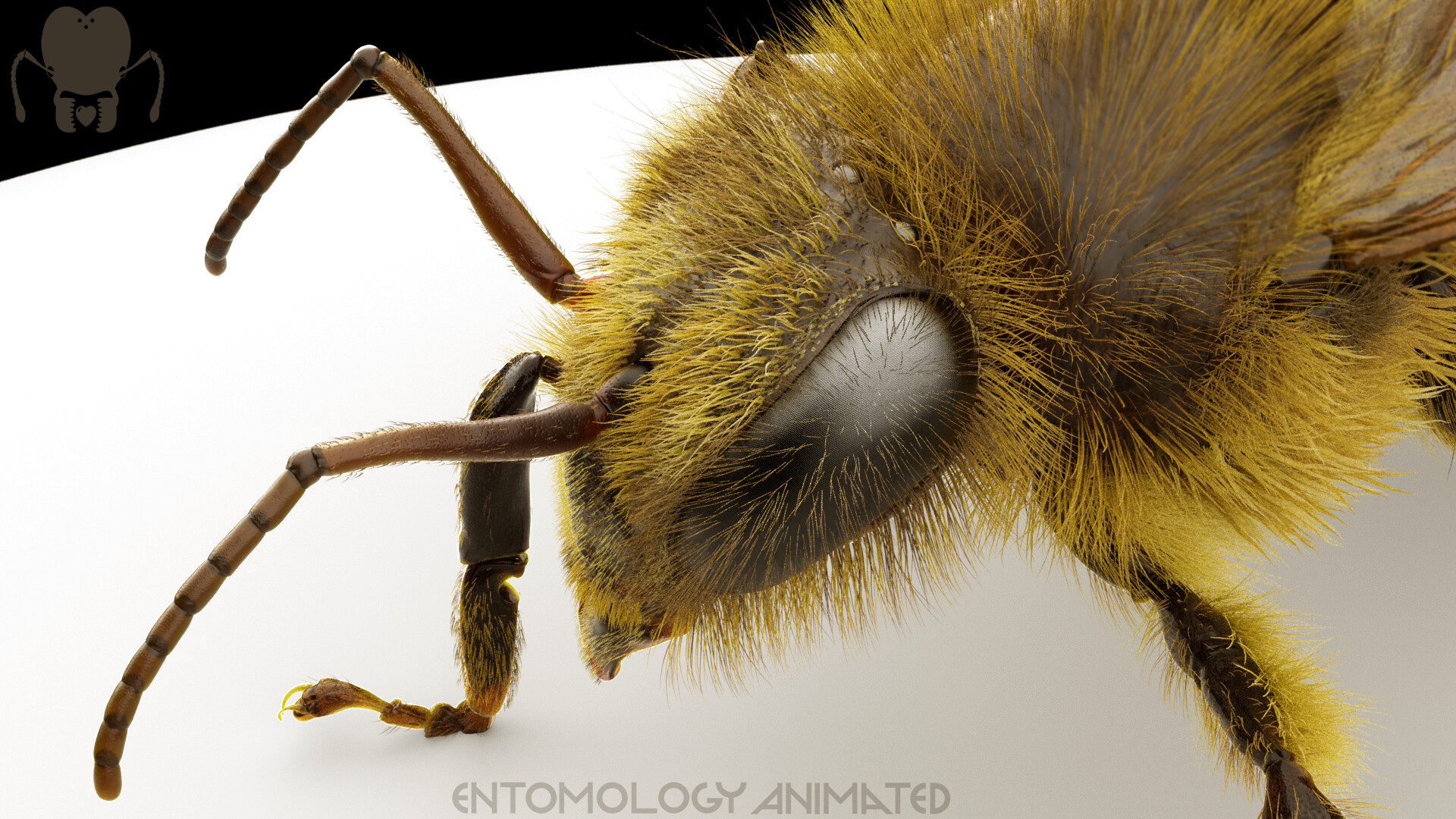 eric-keller-bee-arnold-render-06