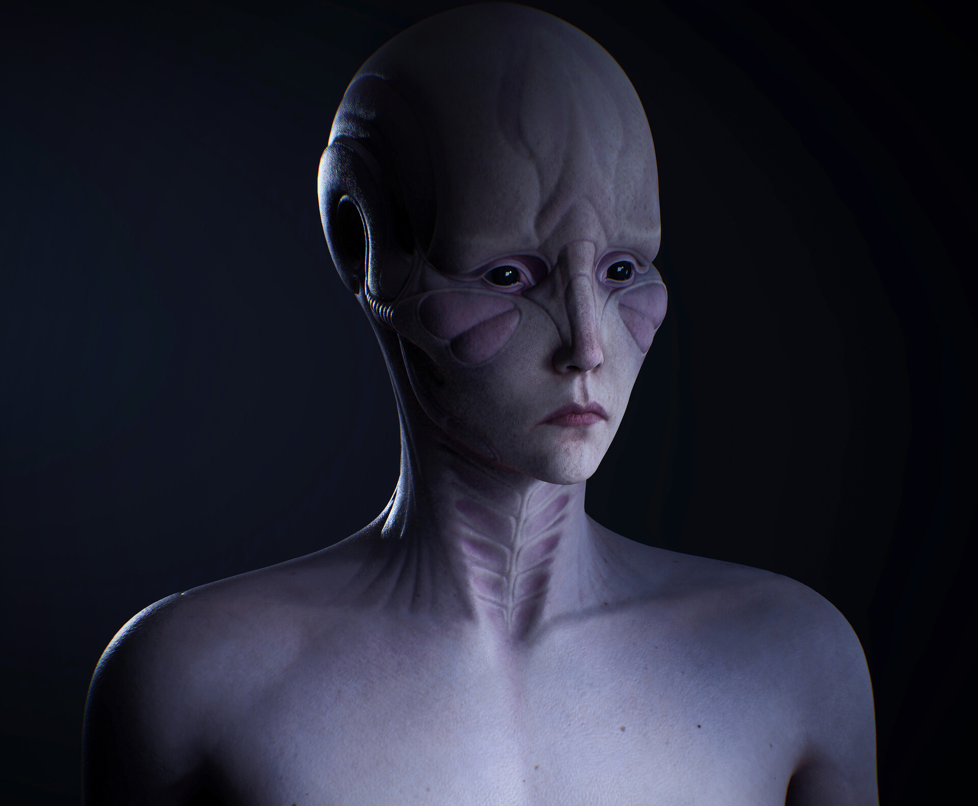 konrx-krolikowski-buttefly-cold-3c4_vig