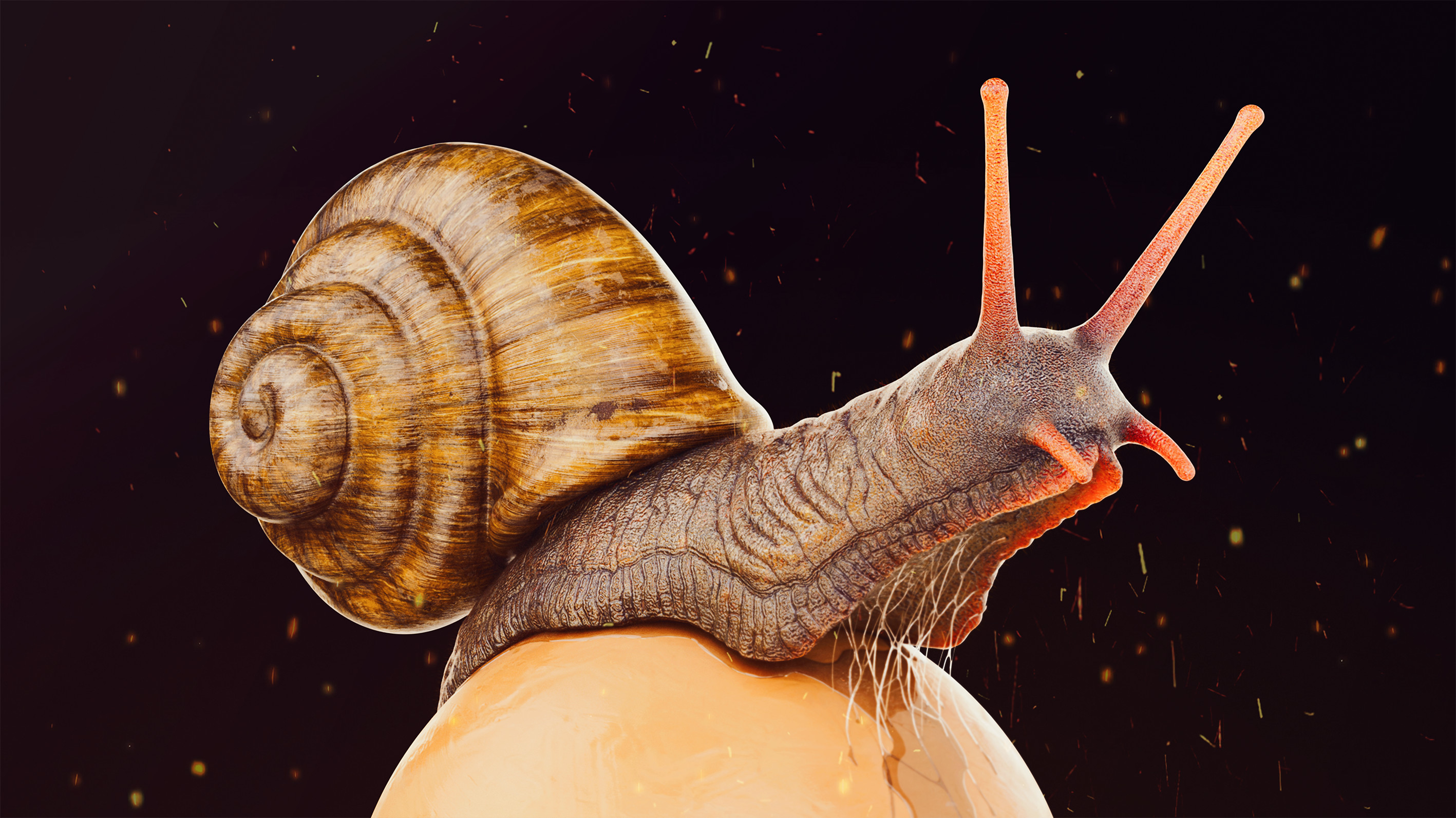 julio-benavides-snail-00018