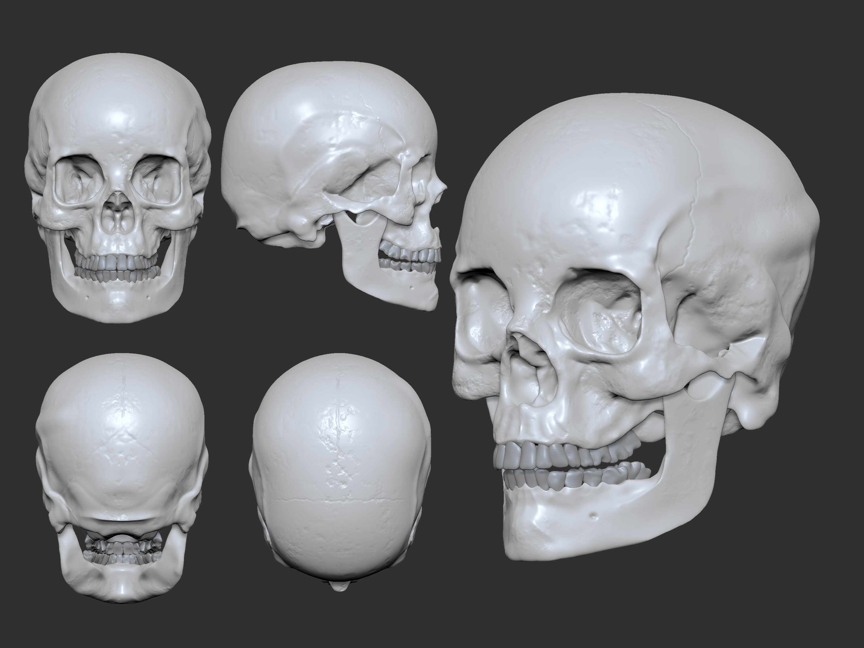 Craneo_Gris_CristinSabin