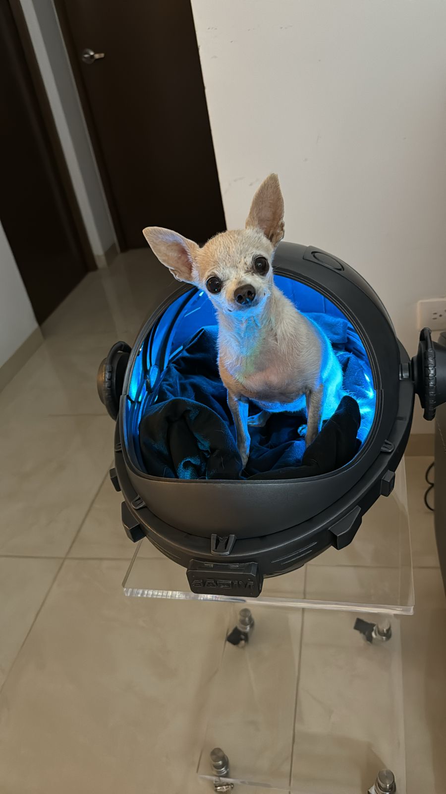 Imagen de WhatsApp 2024-05-03 a las 00.48.52_df241080