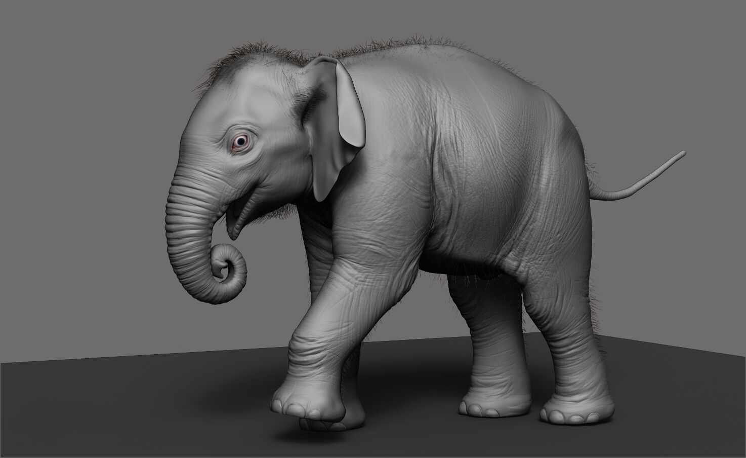 PBR_Rendrt_Baby Elephant