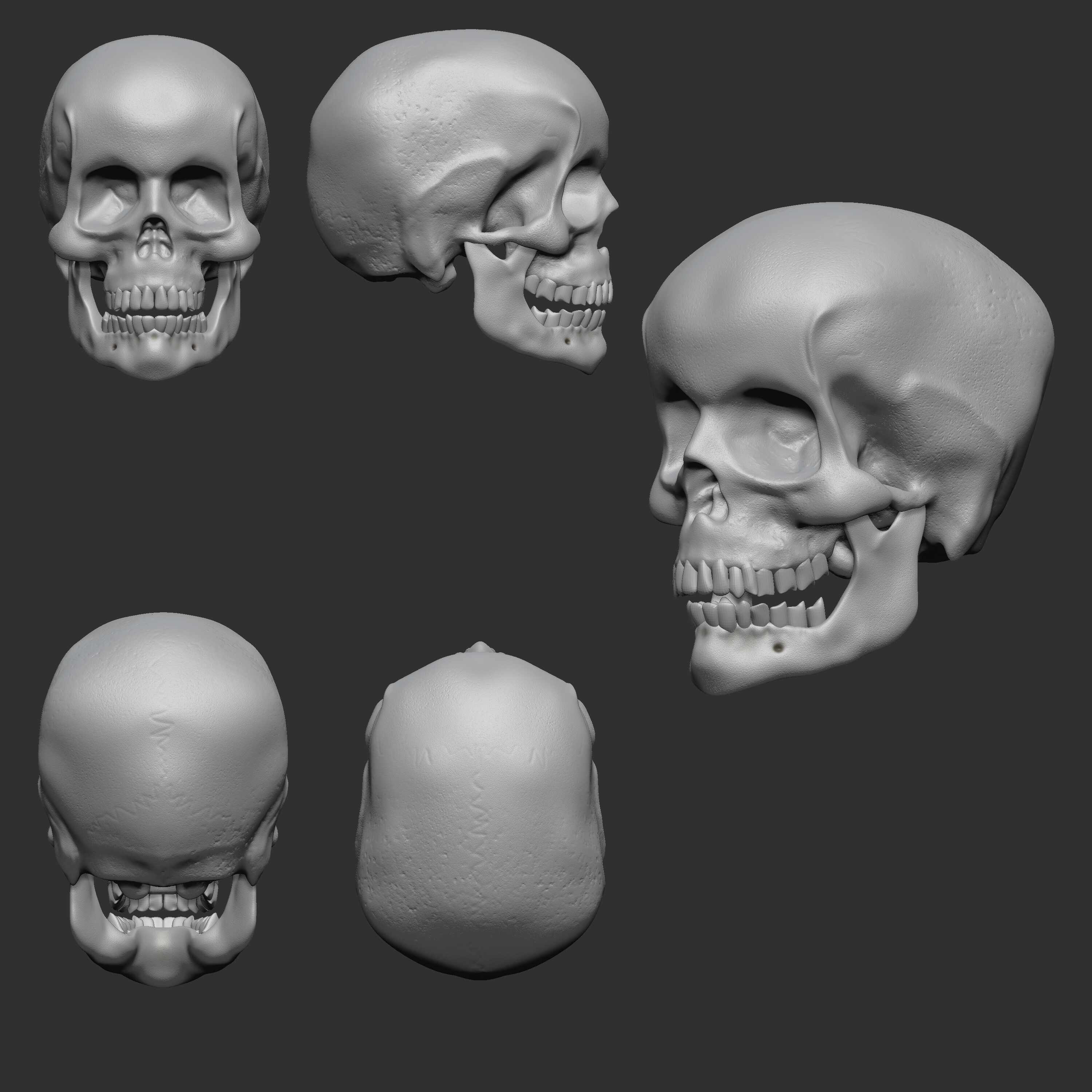 Luis_Moyano_Craneo_No_Text