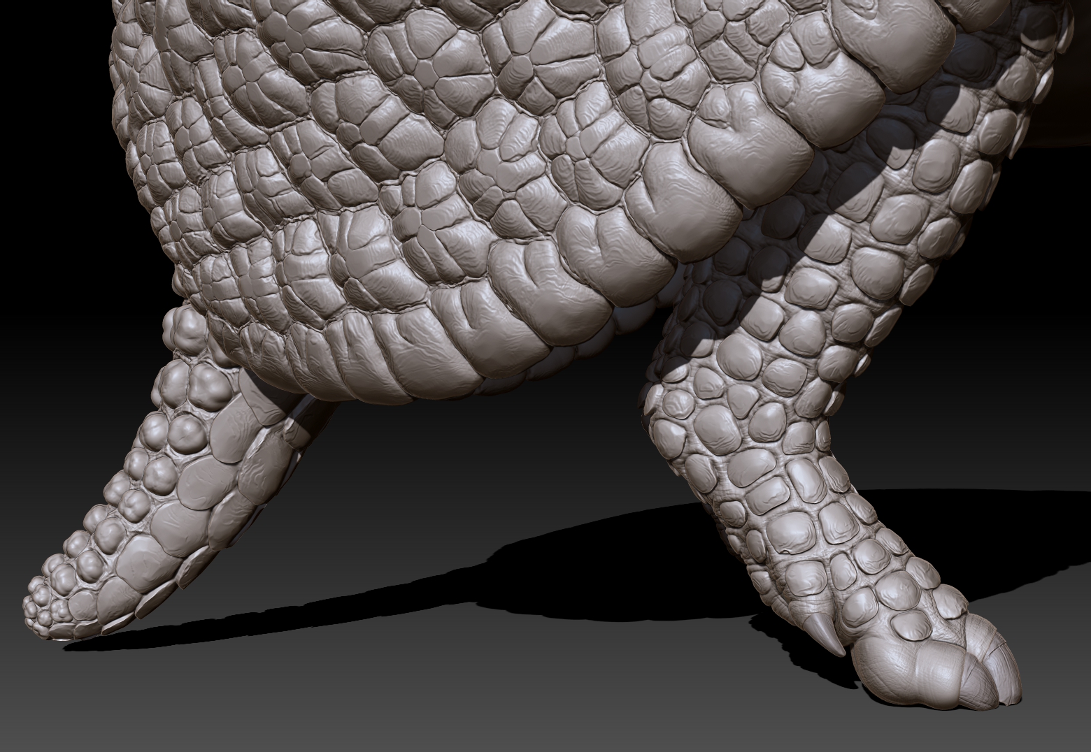armadillo_legs_back