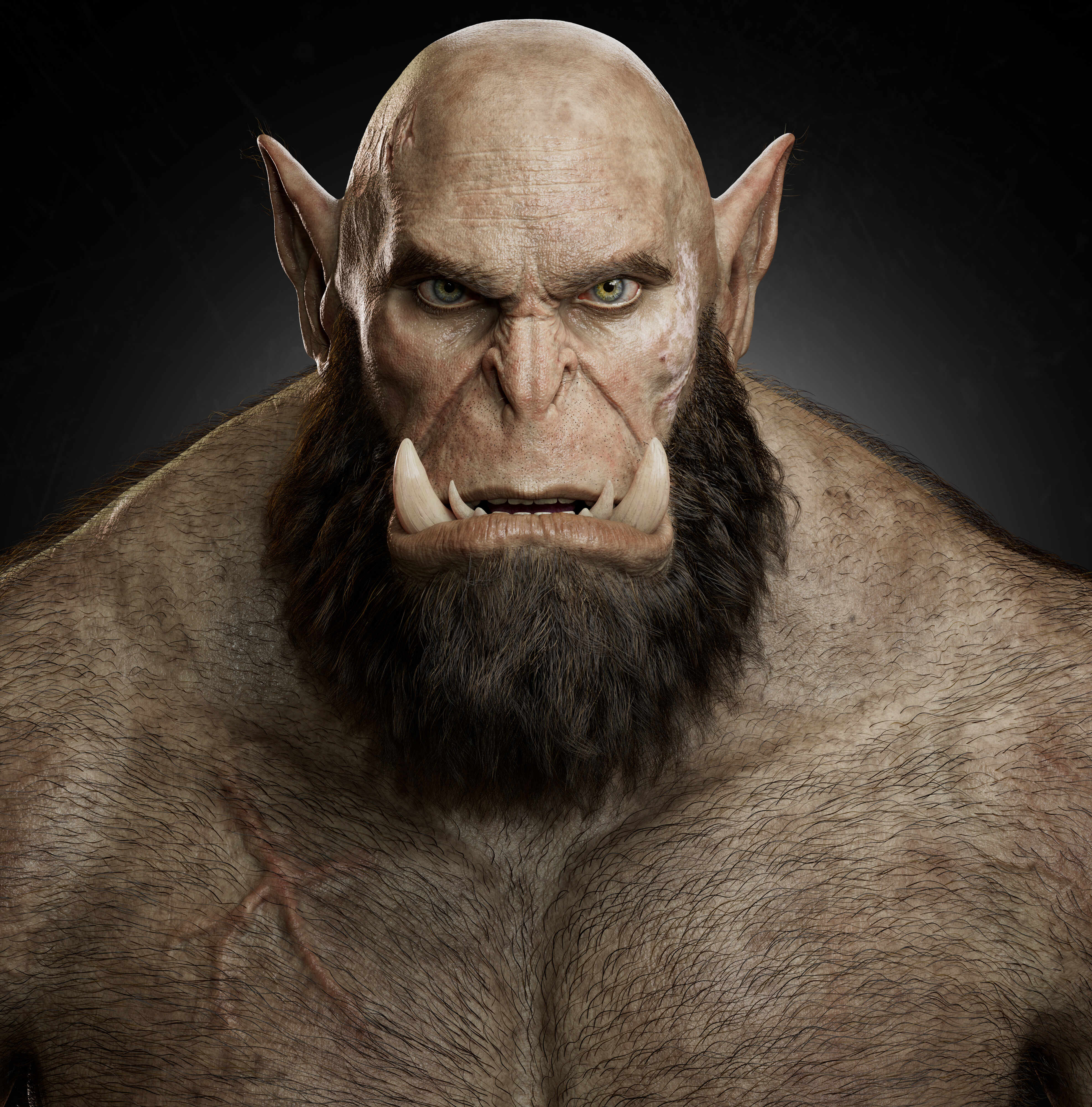 online_portfolio (9)