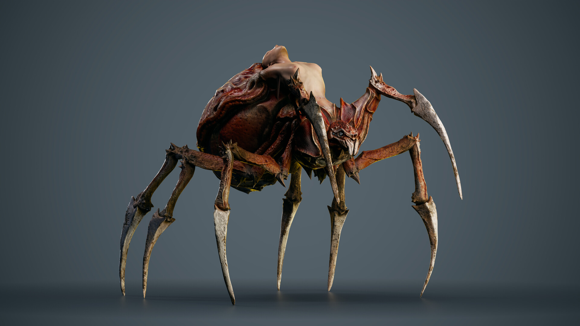 anna-siebenhandl-side-attack