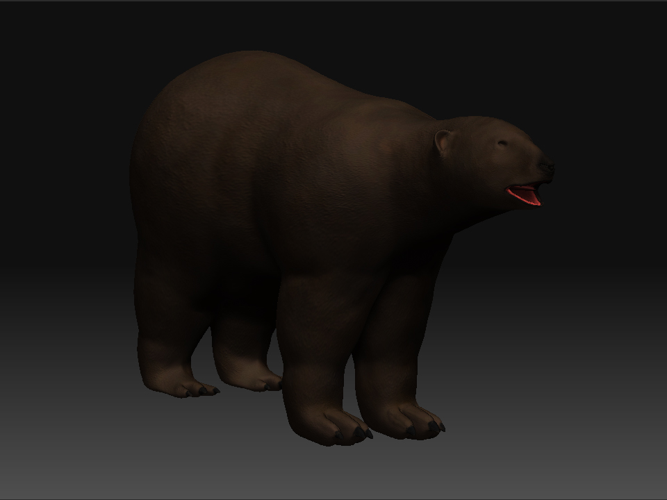 Bear 2.jpg