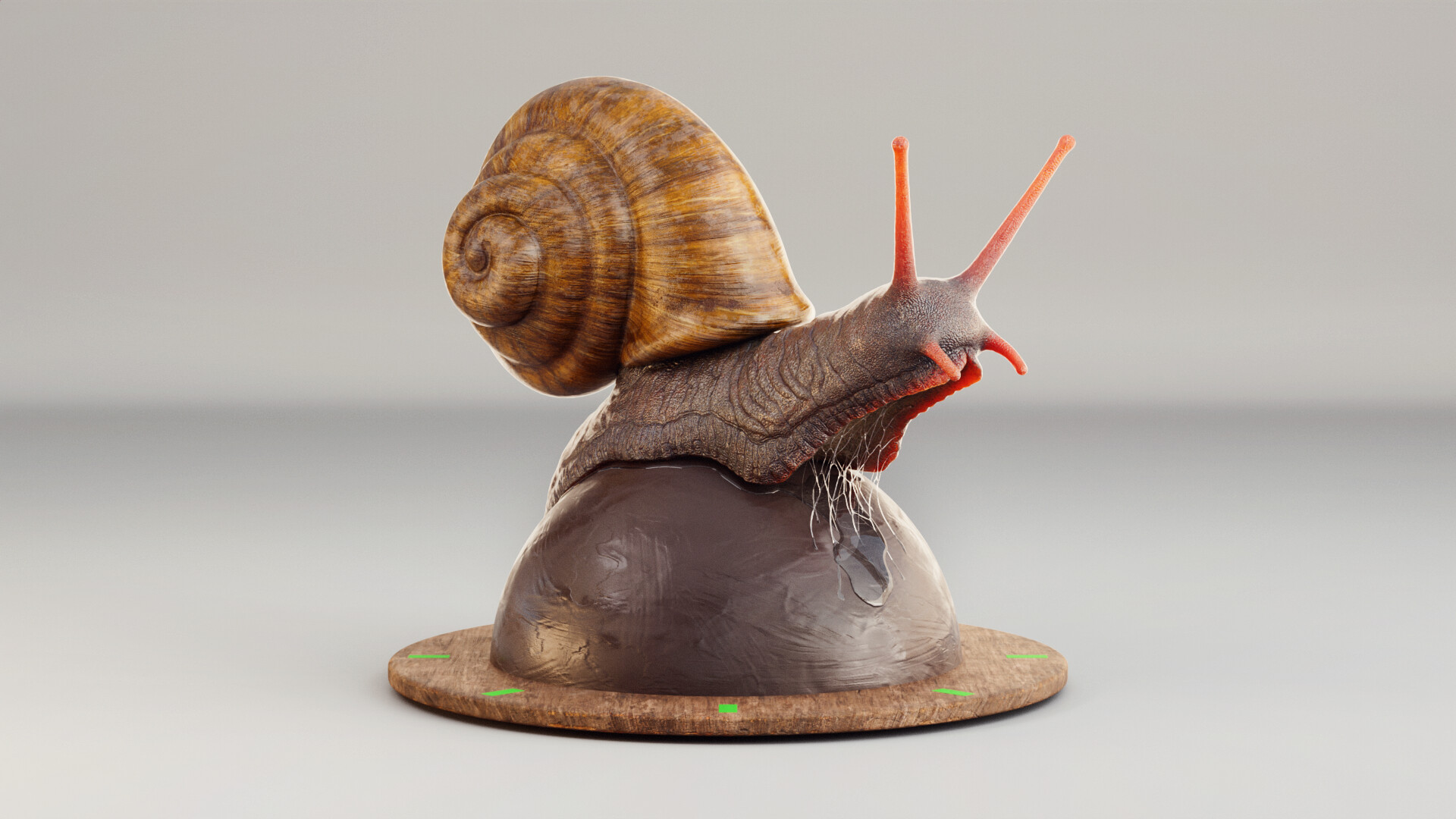 julio-benavides-snail-00002