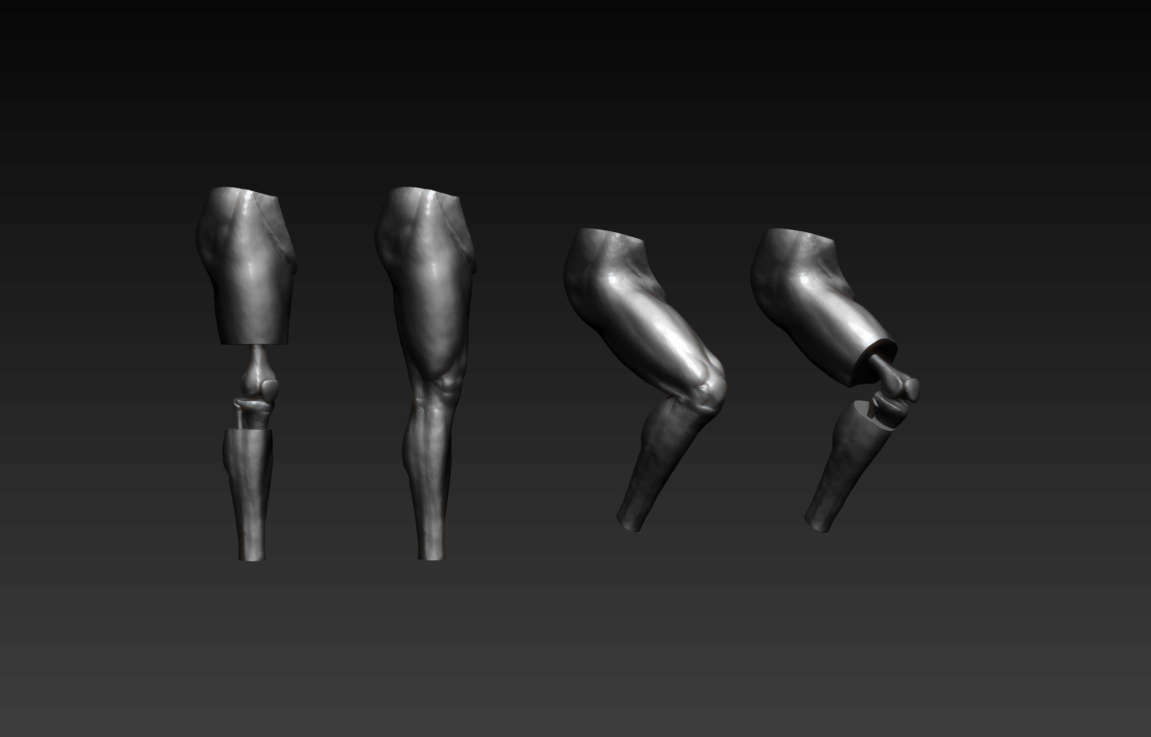 Leg_zbrush_01