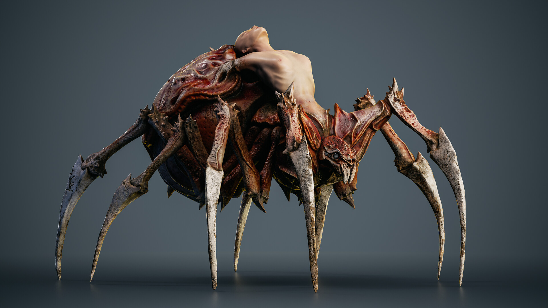 anna-siebenhandl-basic-side