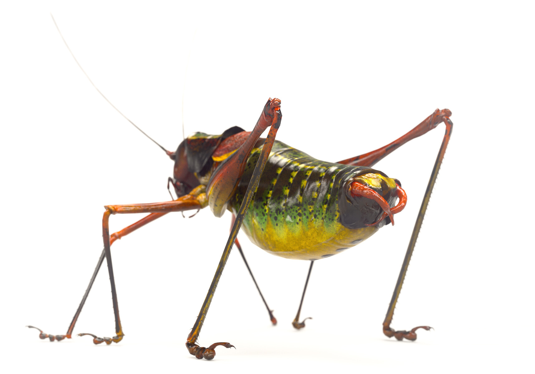 eric-keller-b-vicentinus-render-03