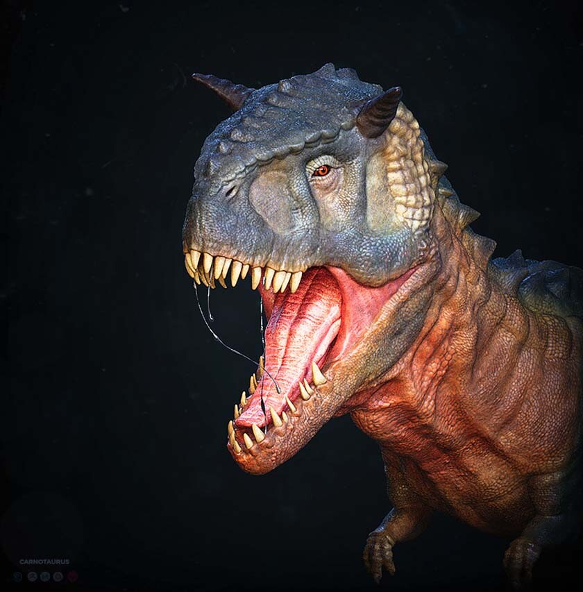 emmily-reis-render-2