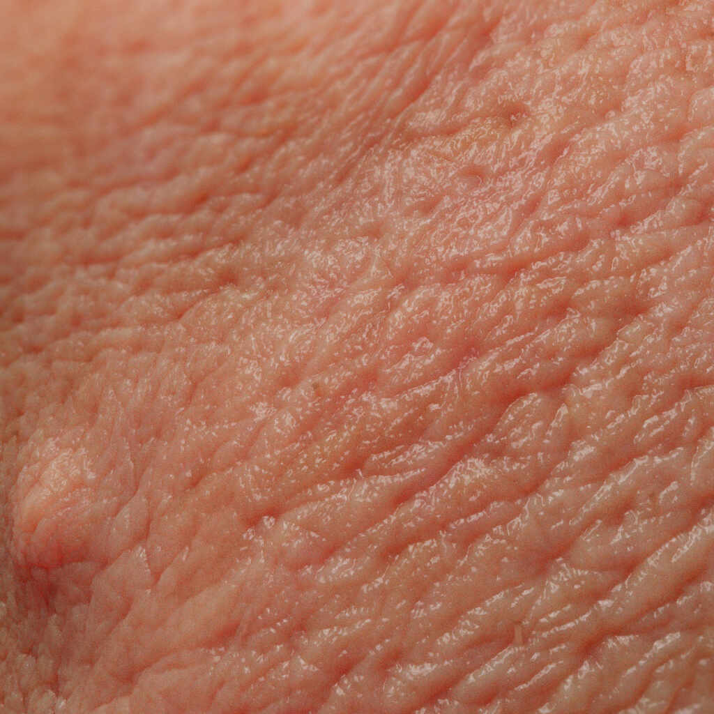 dostoevsky by vahid ahmadi 9n