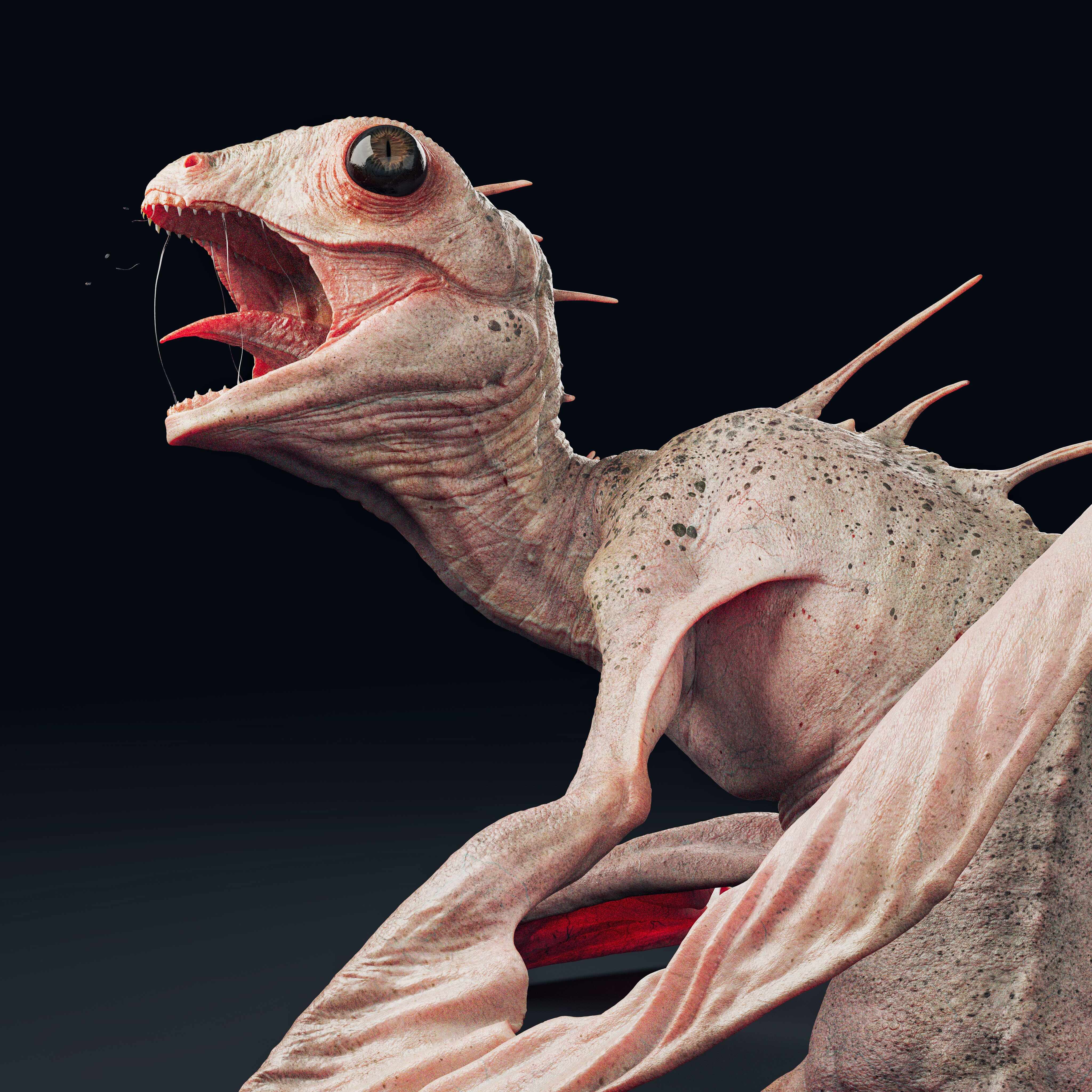 forgottenHatchling_4