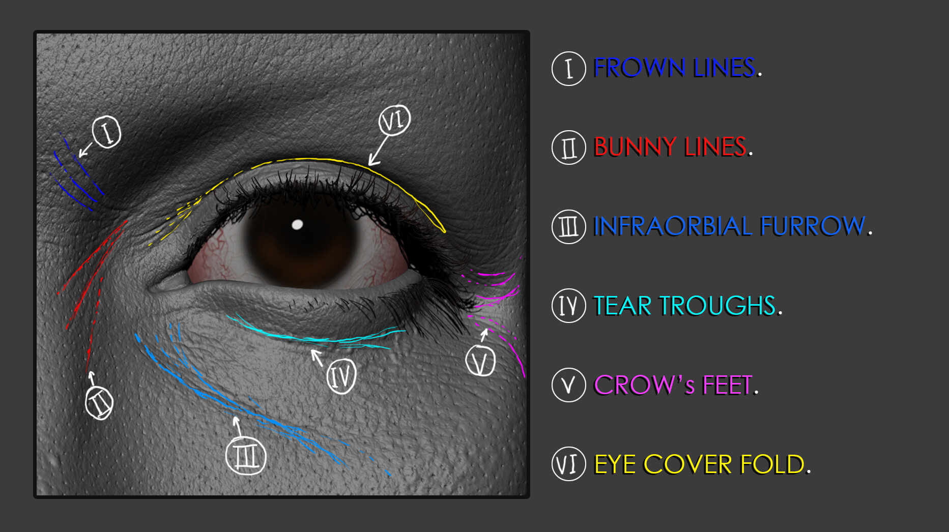 eye creases and detail