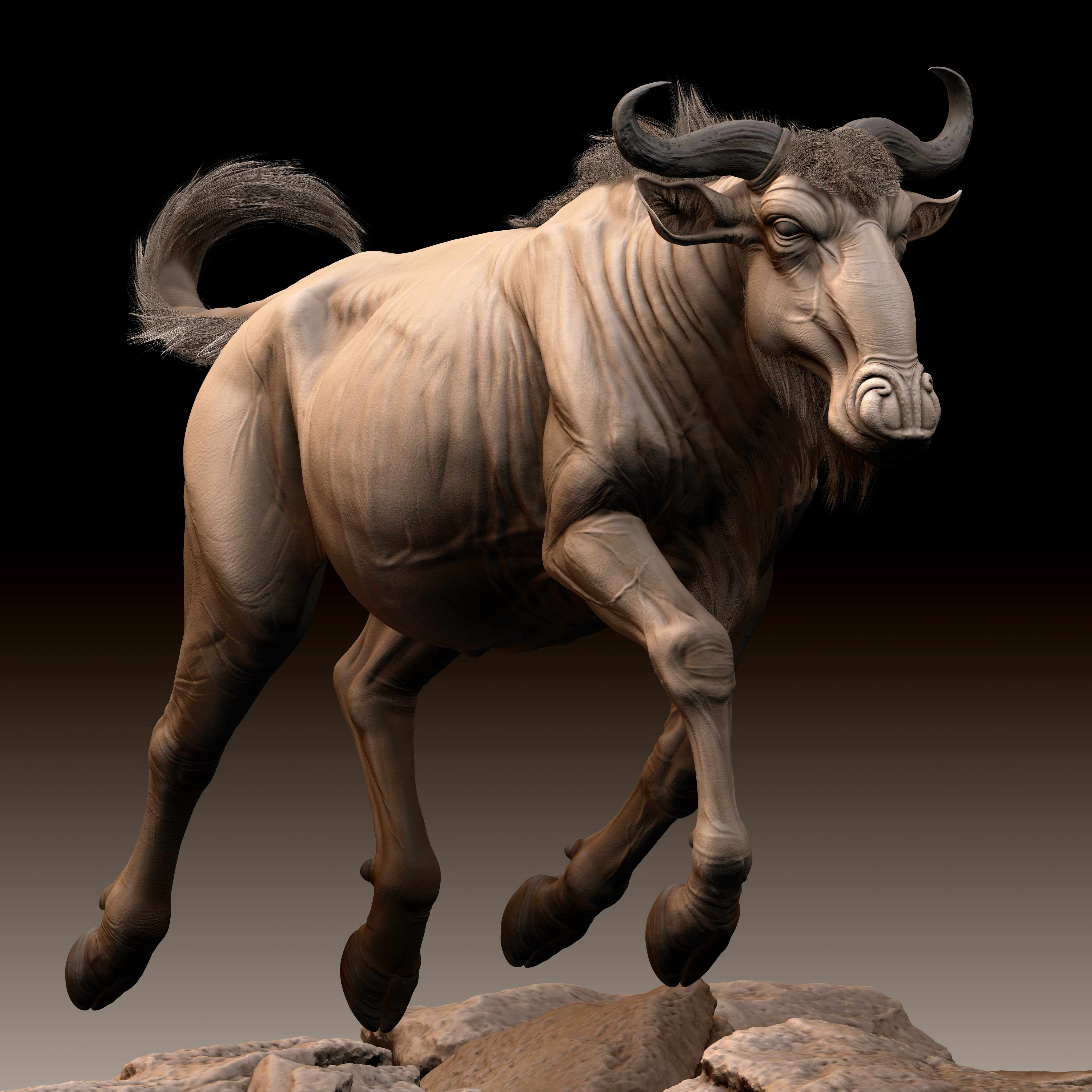 Wildebeest_by_Vinay_Gupta