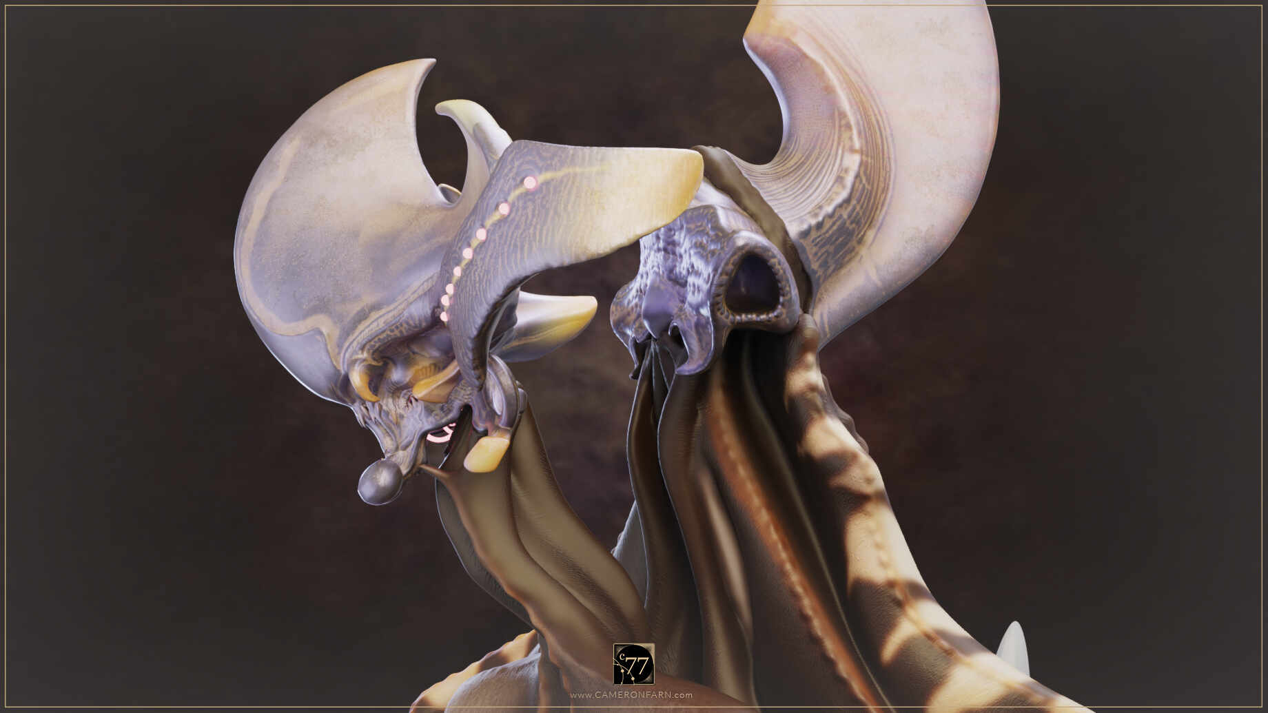 C77-WORS-Sml-InPro_0007_www.CAMERONFARN.com