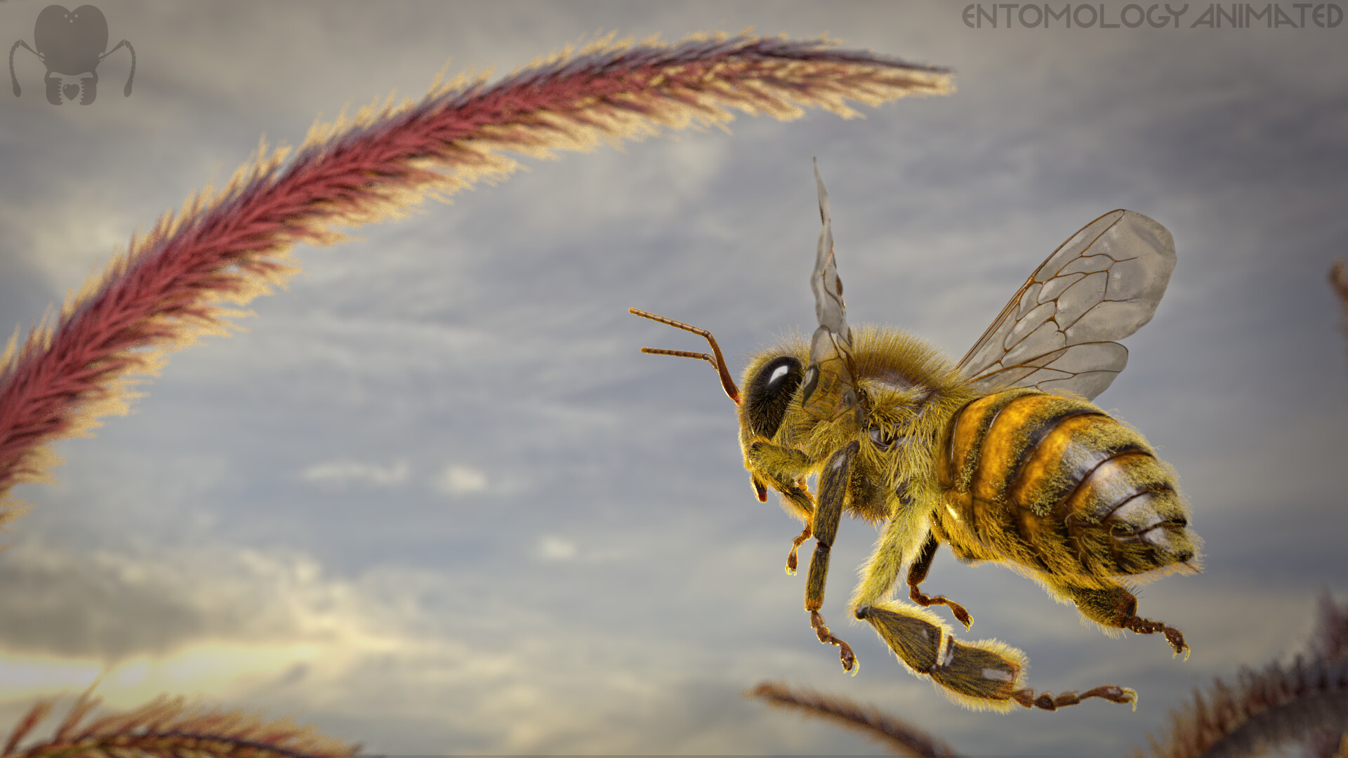 eric-keller-arnold-outdoor-render-1