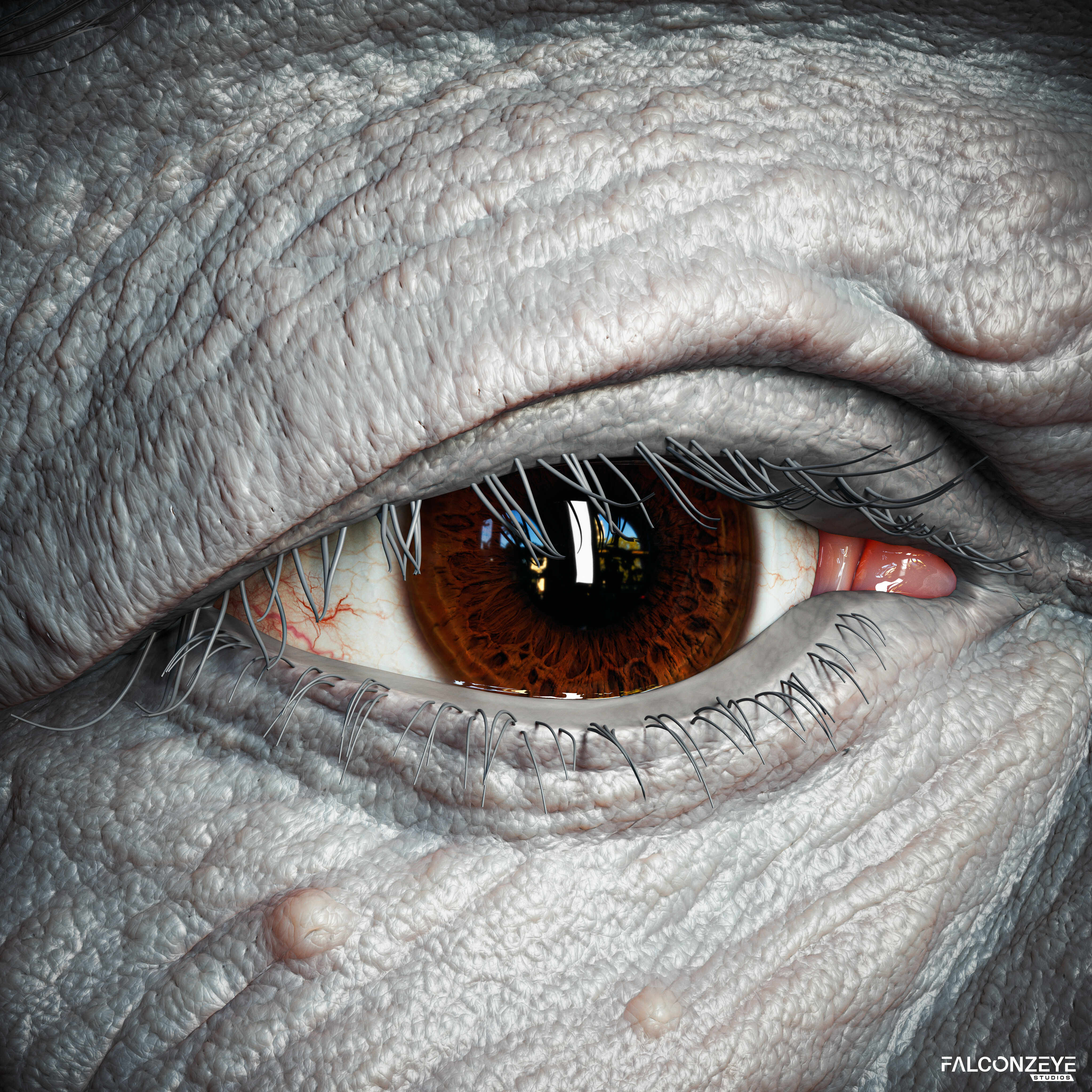 Prabhupada_Eye_Closeup_1