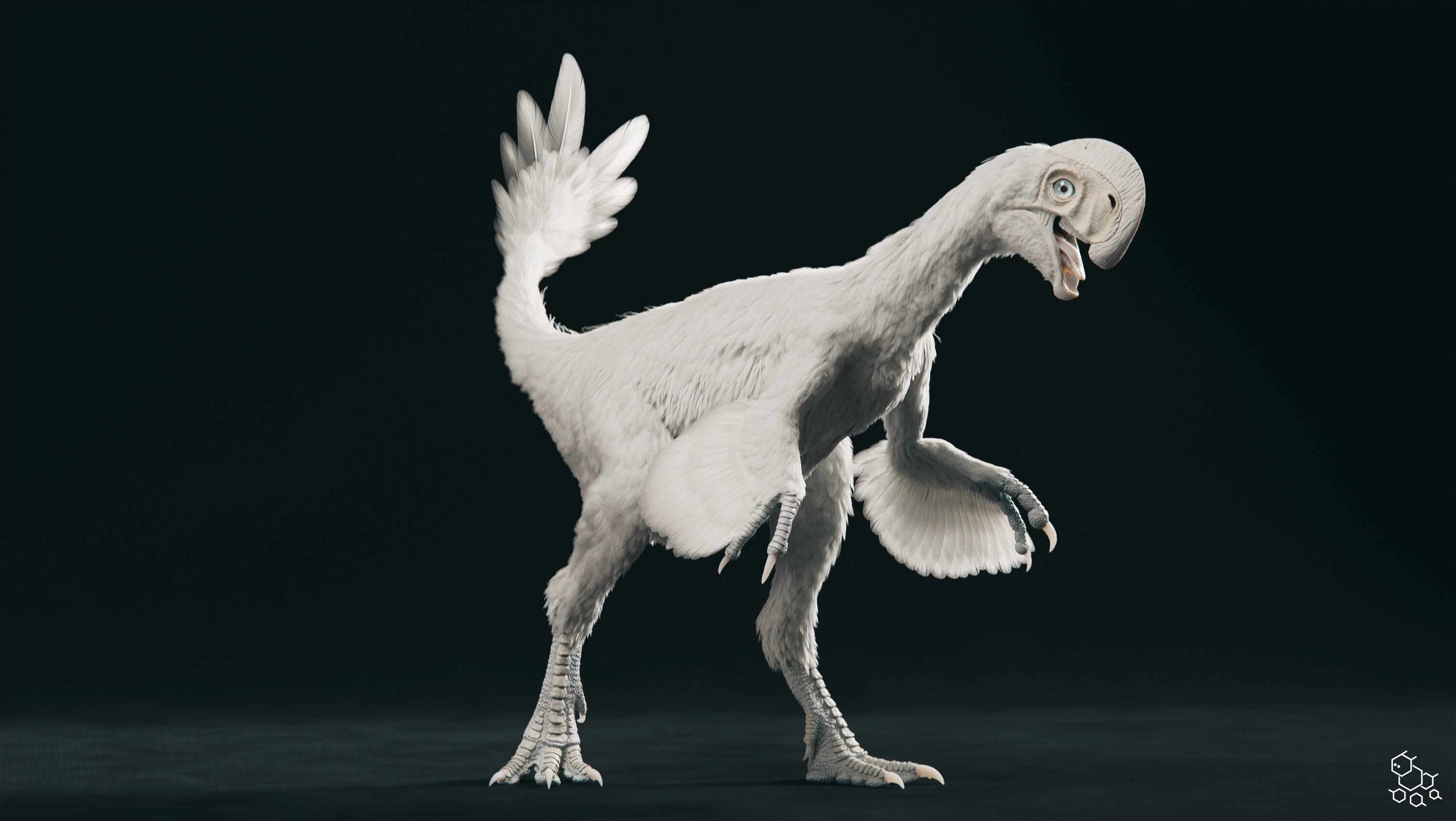 Oksoko_avarsan_POSE1_WH