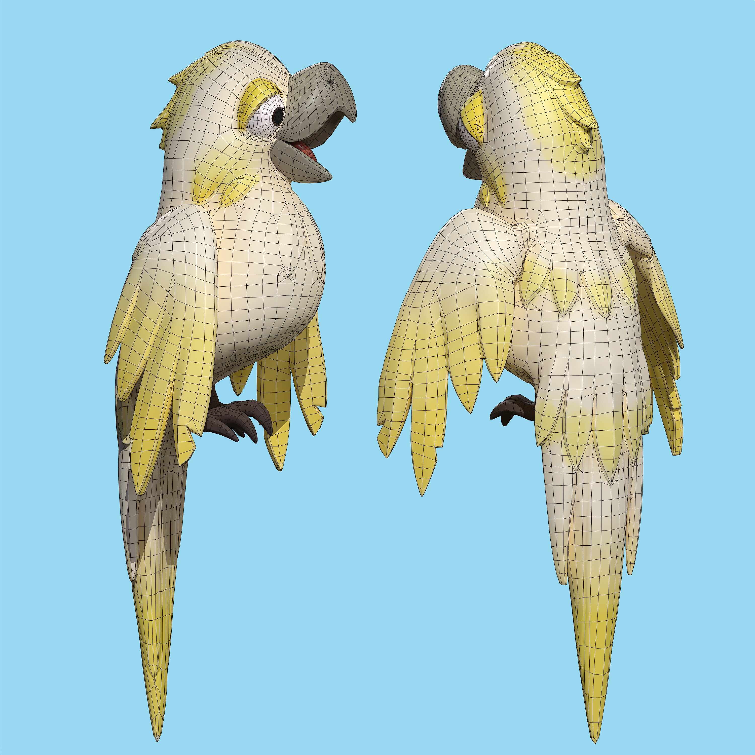 Colored_parrot_camera