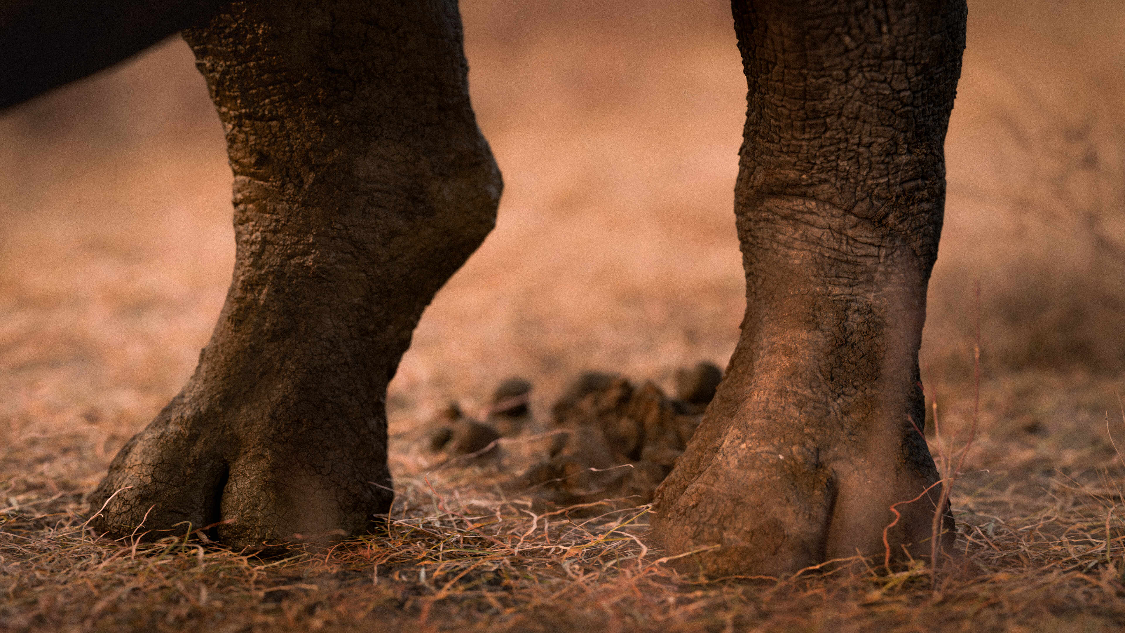 closeUp_render_v001.1118-2