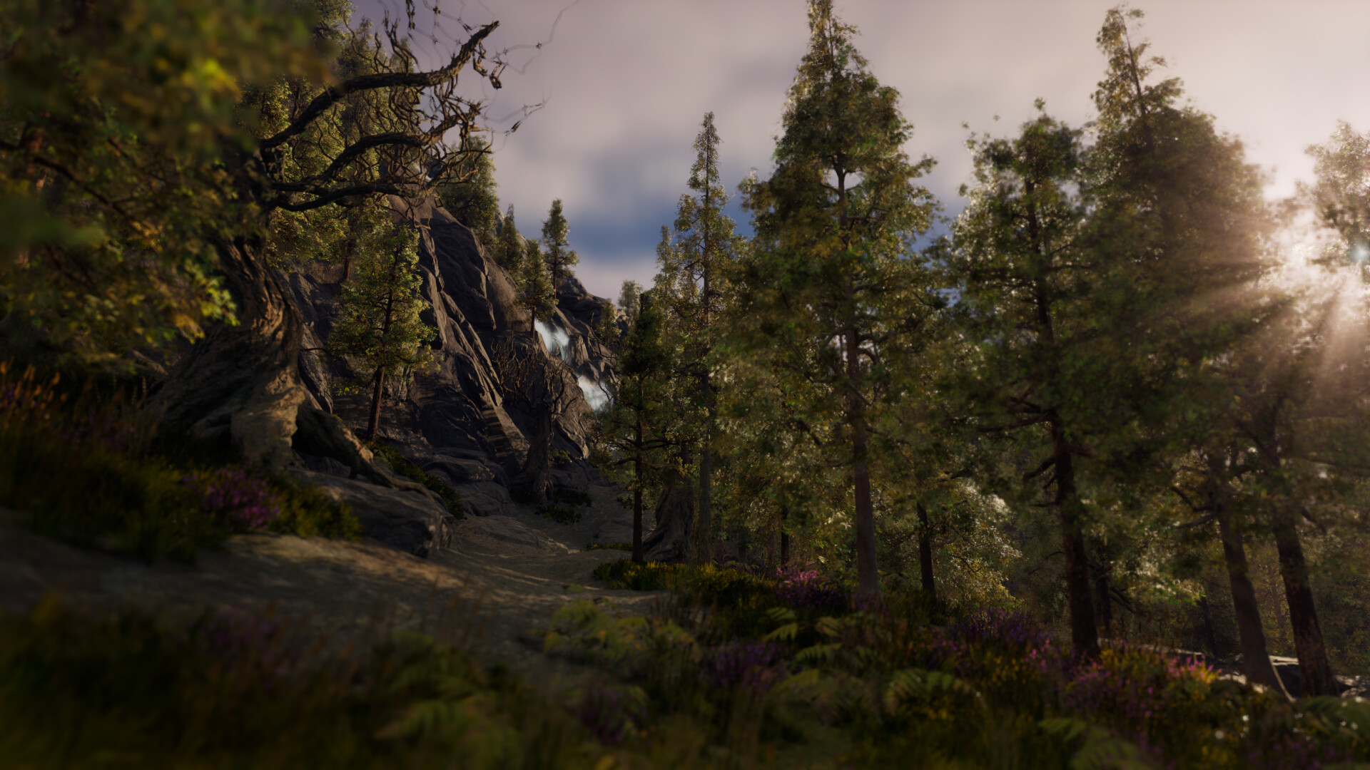 rodolfo-silva-forest1 (1)