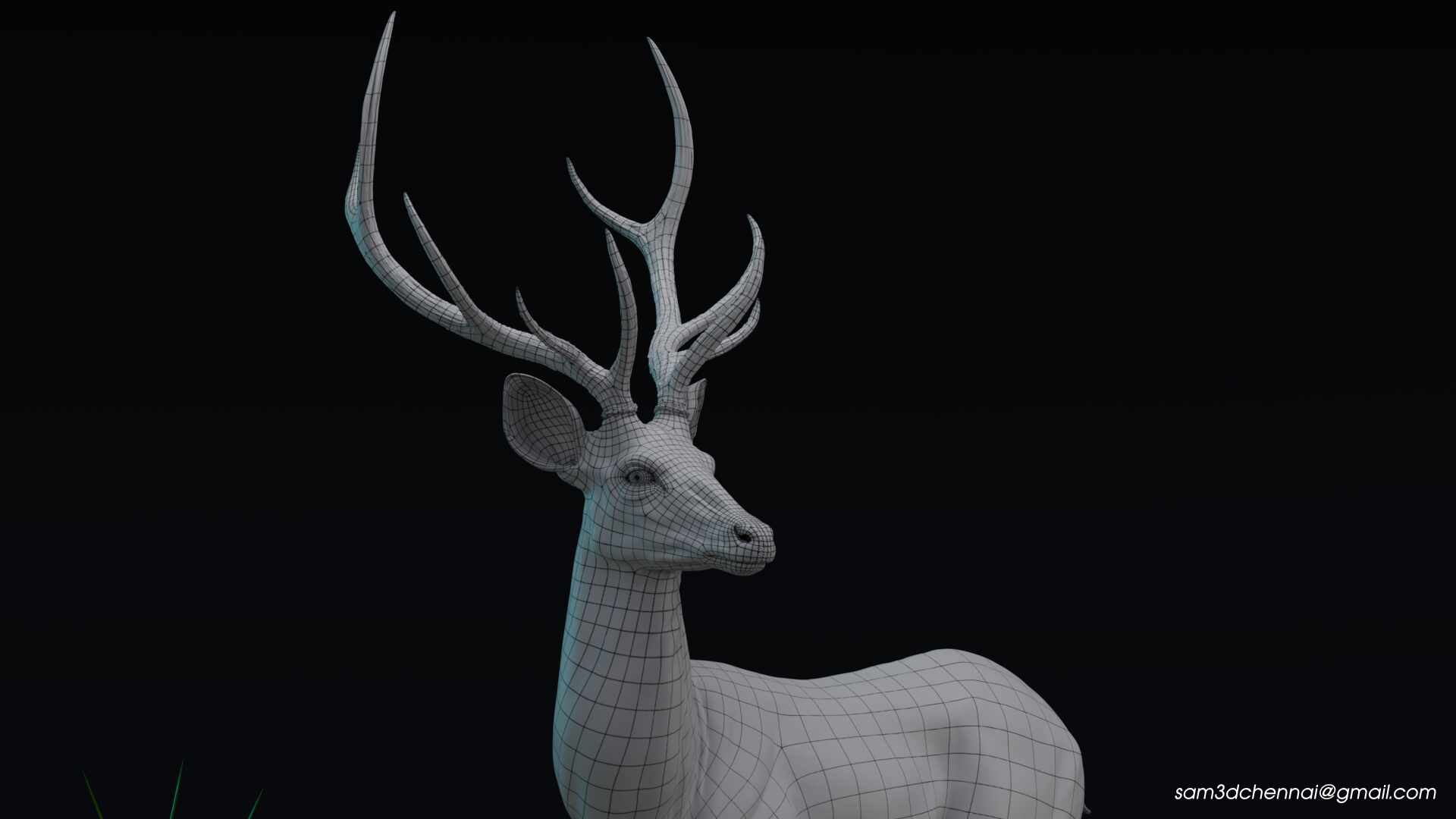 Deer_09
