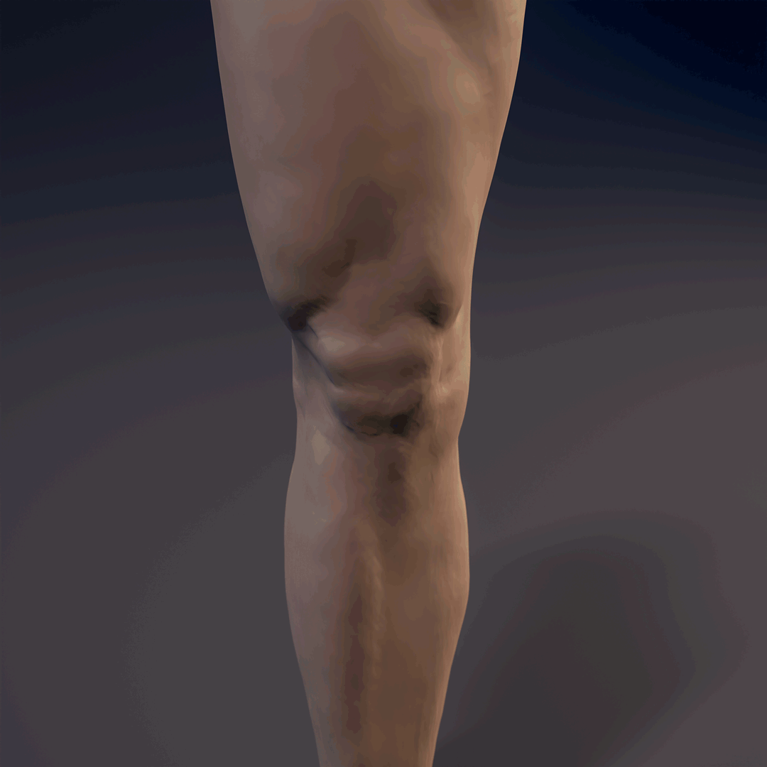 Leg_Straith_Cam_01_shot