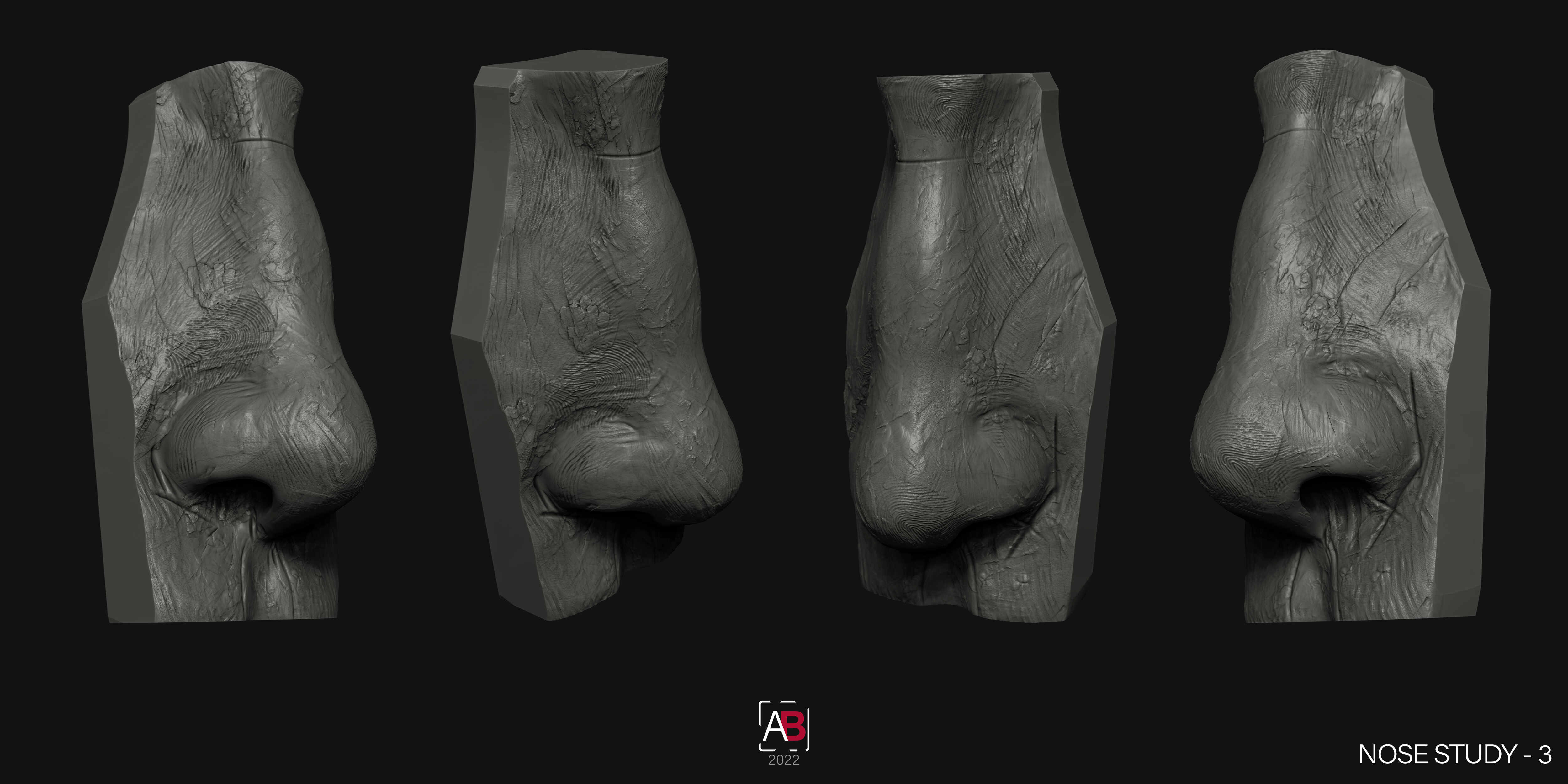 Nose Study_3