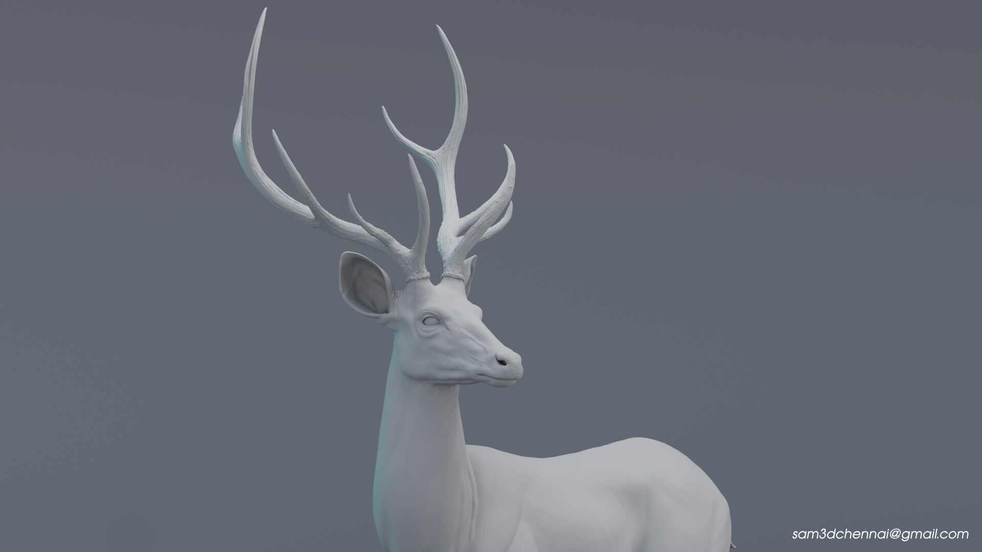 Deer_06