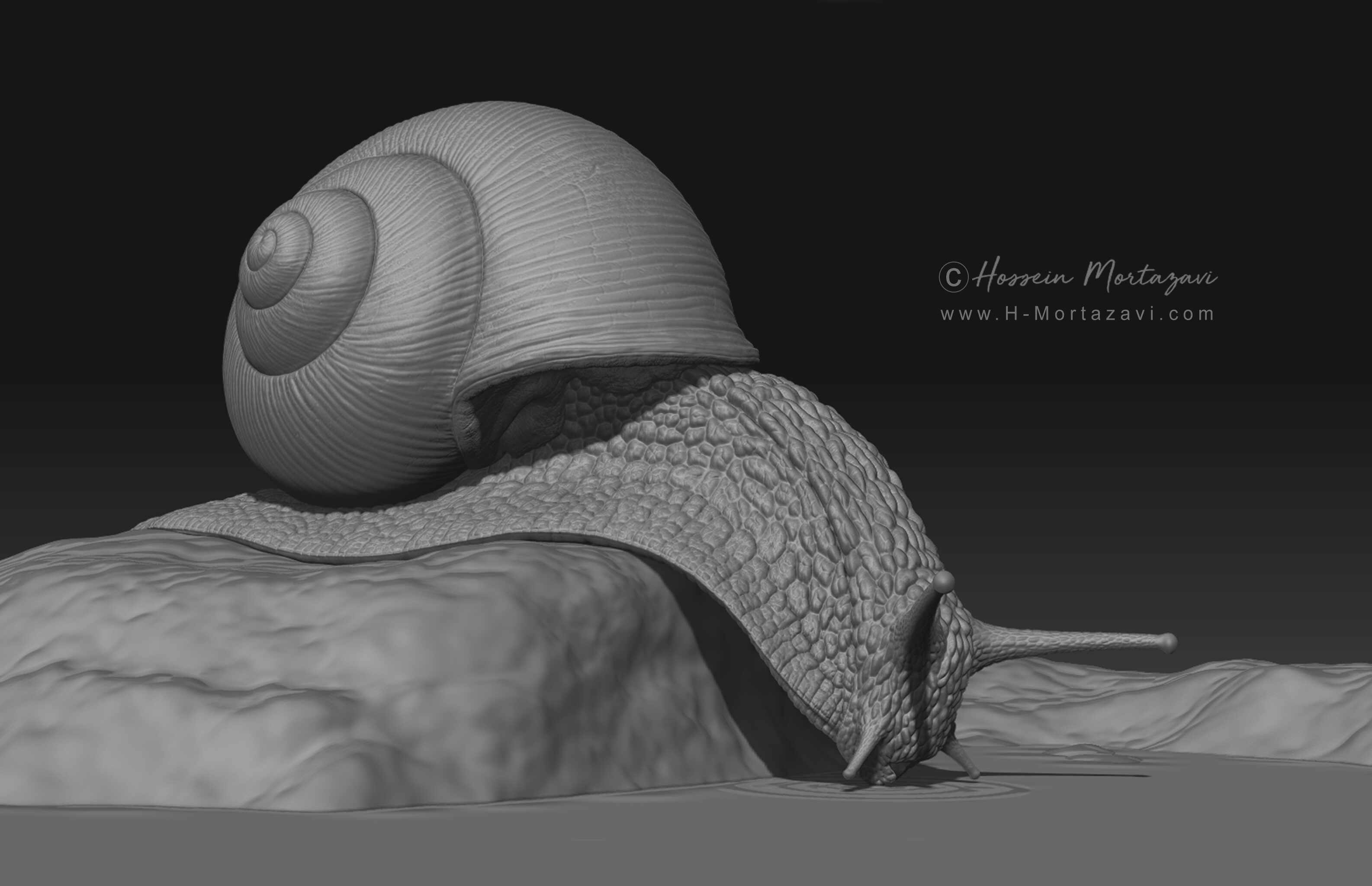 Roman_Snail_03
