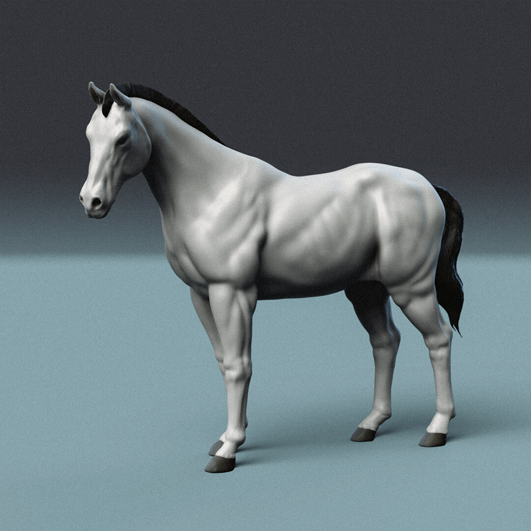 alex-klunduk-horse-main