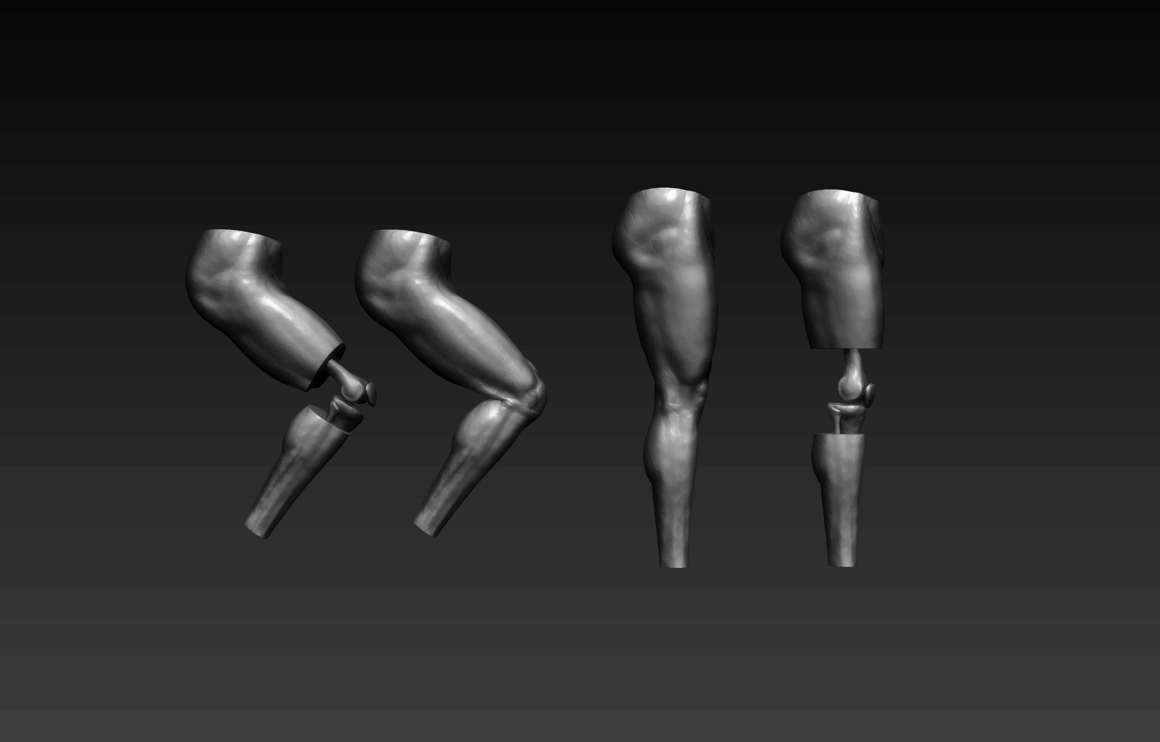 Leg_zbrush_05