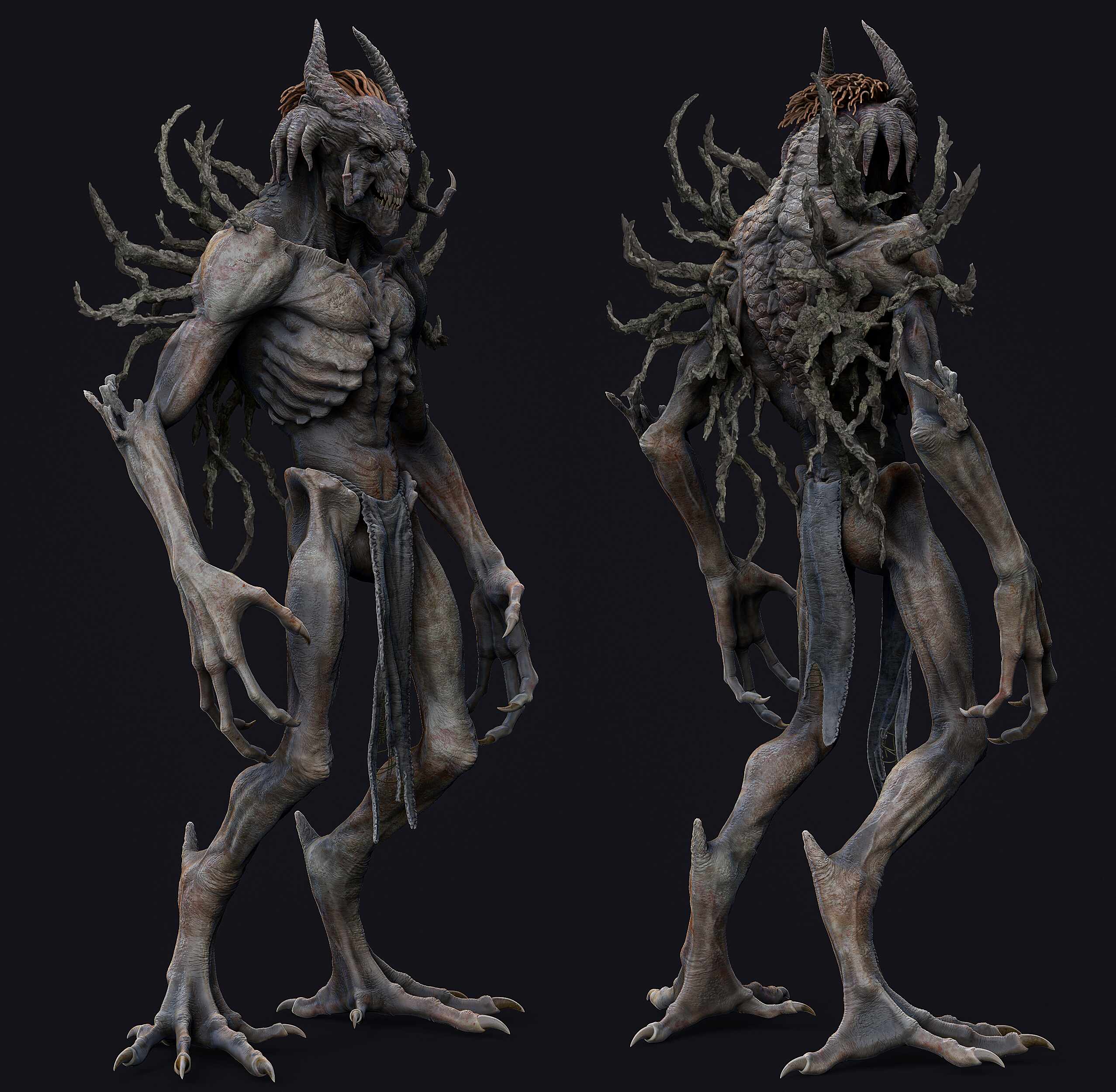 perspfront_back_polypaint