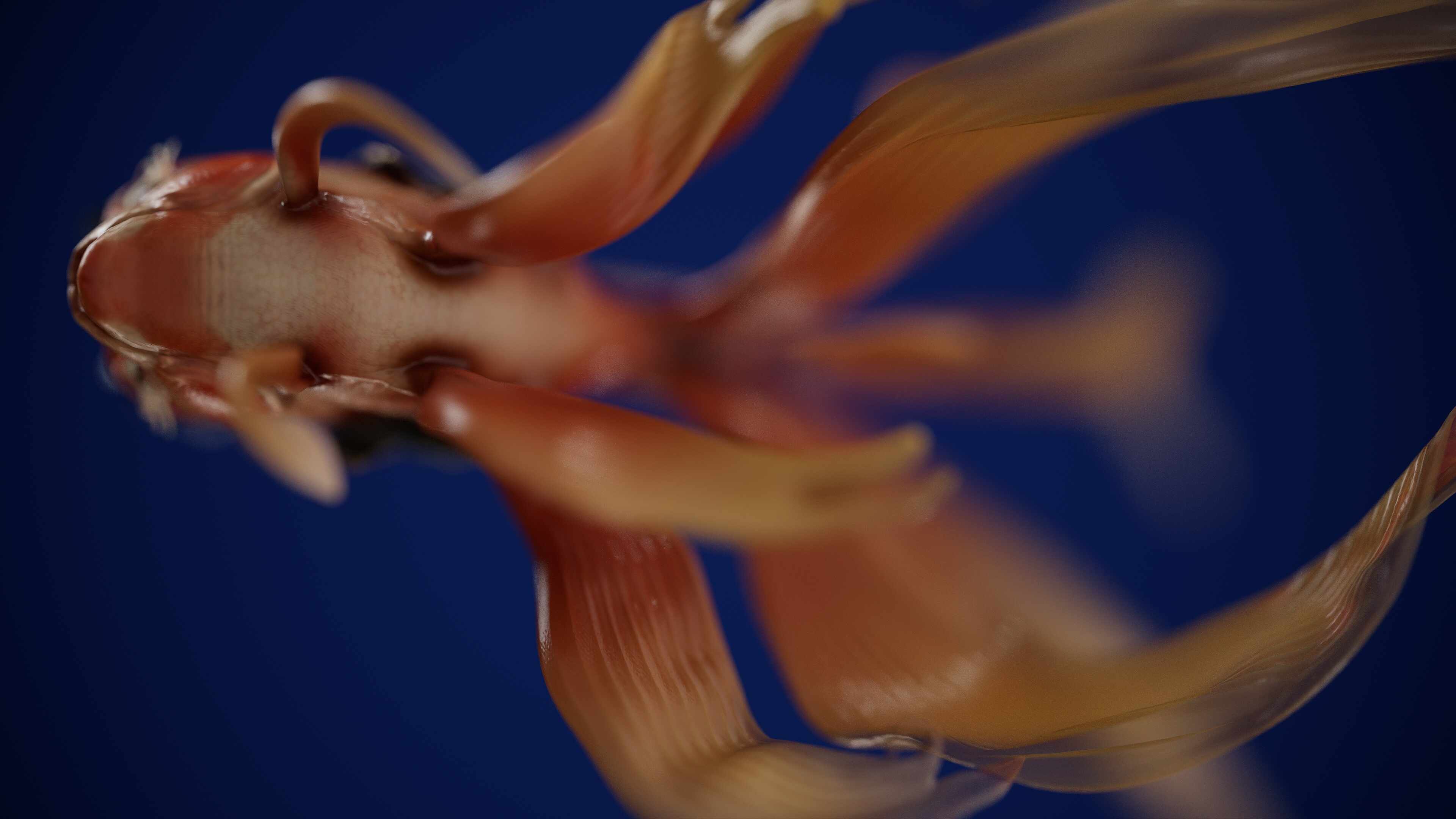 tbrender_Main Camera_003_compressed