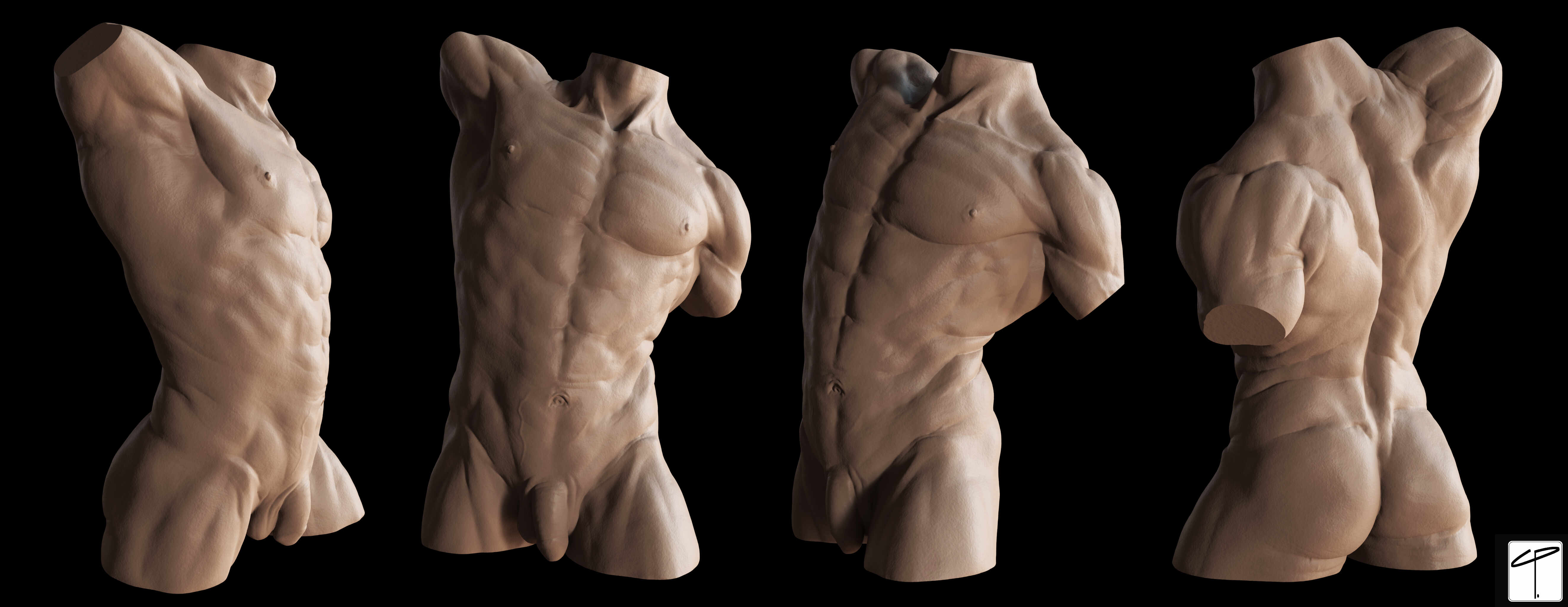 Torso_Arnold_Lineup_CurtisParker_Uncensored