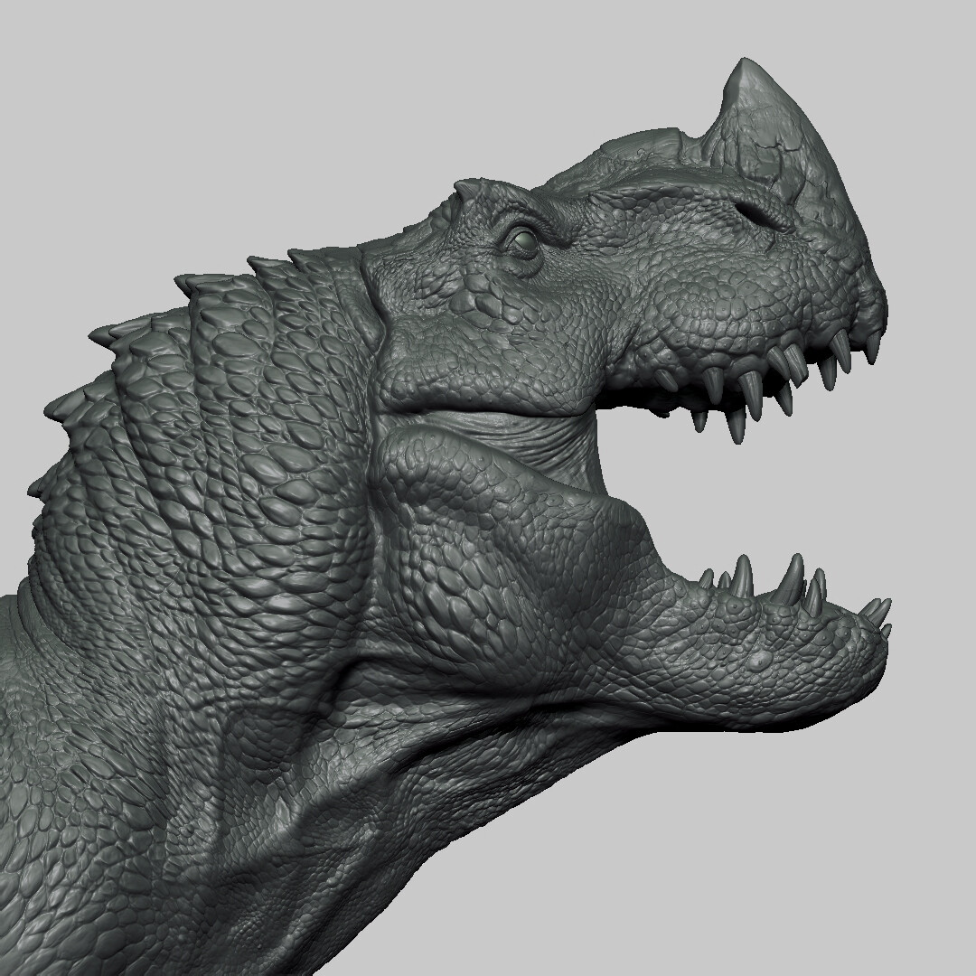 antoine-verney-carron-z01