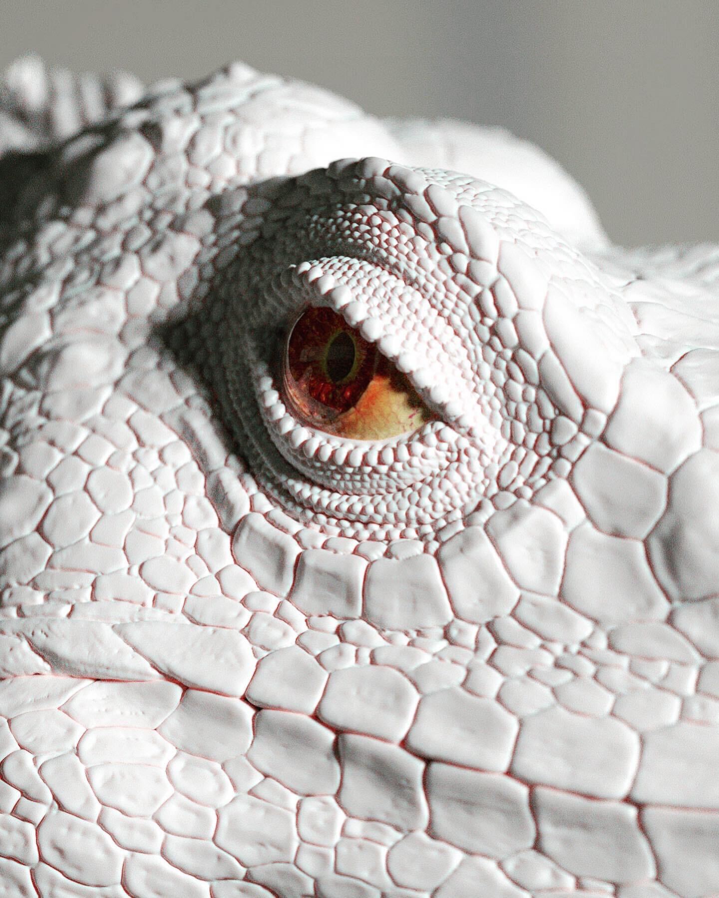 5765DB1F-707A-4648-B20C-1AA39027EA2B