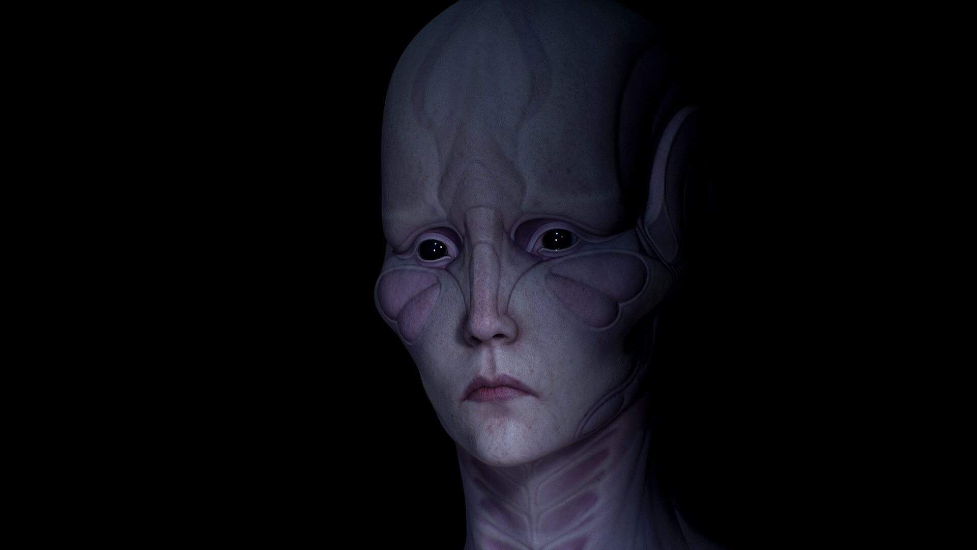 konrx-krolikowski-buttefly-cold-3a