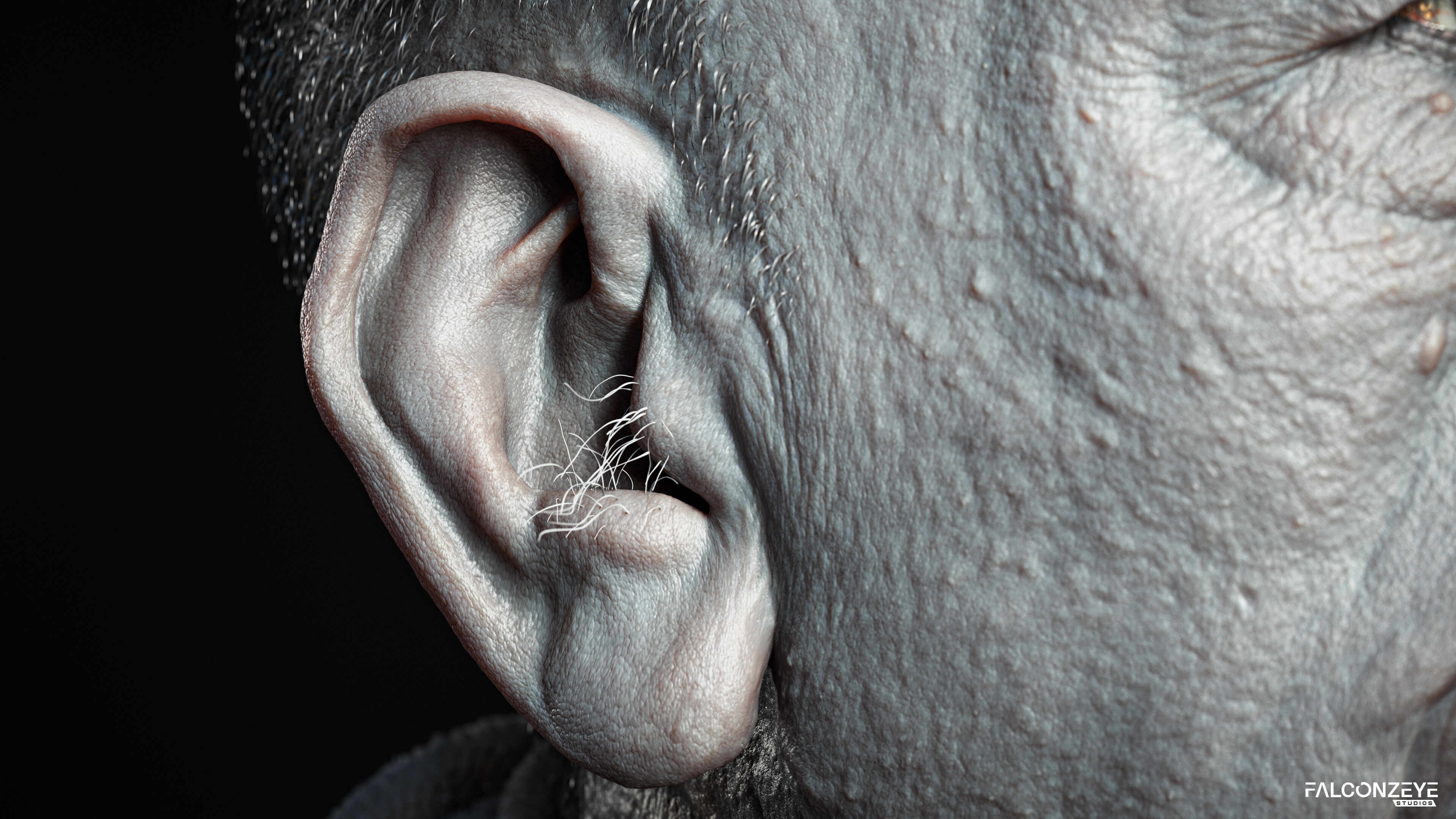 Prabhupada_Ear_Closeup